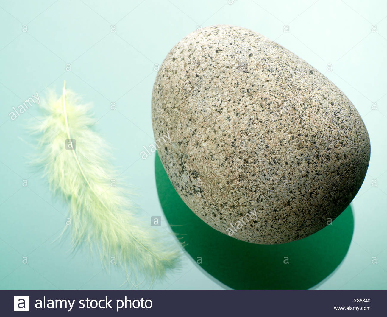 Feather Stone High Resolution Stock Photography and Images Alamy