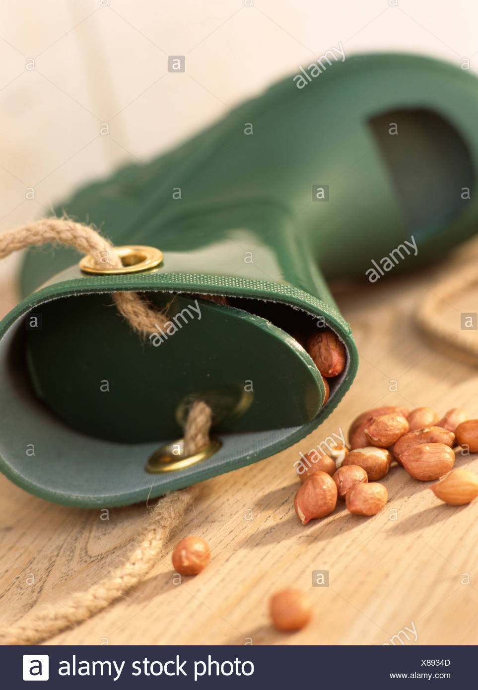 Close Up Of Small Novelty Green Wellington Boot Bird Feeder With