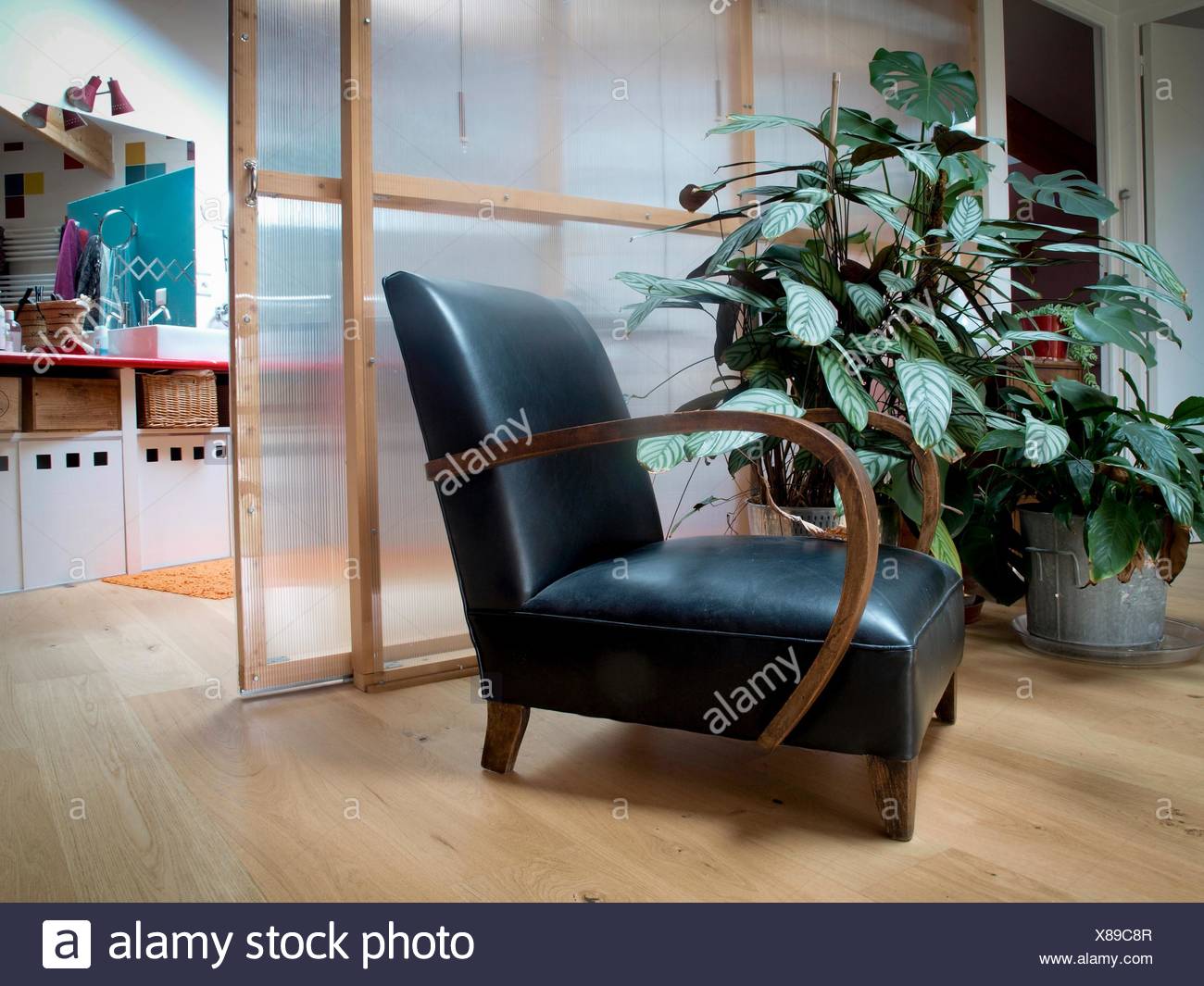 Entrance To The Bathroom Translucent Sliding Doors Black