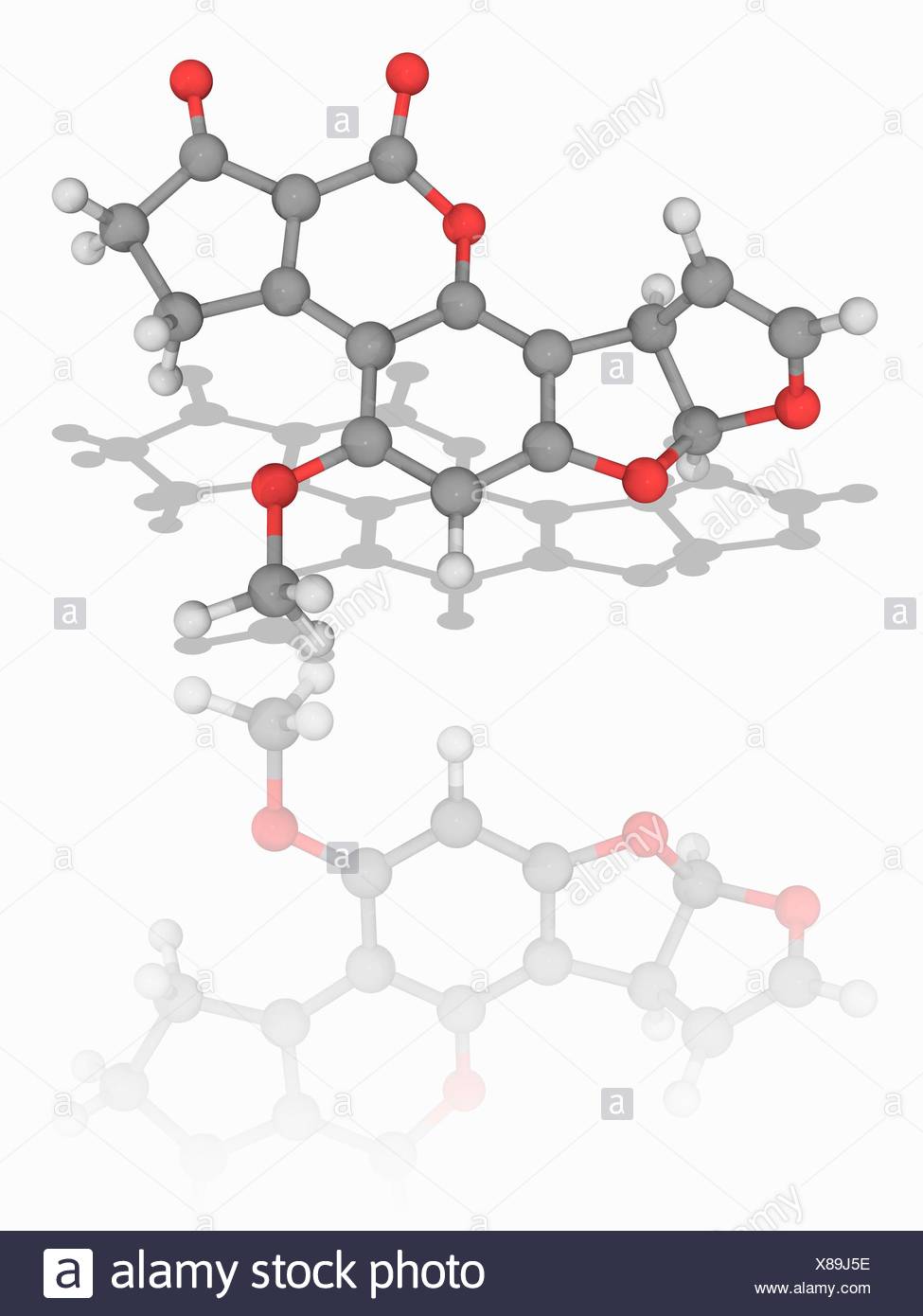 Aflatoxin B1 Molecular Model Of The Mycotoxin Aflatoxin B1 C17 H12 O6 Produced By The Fungus Aspergillus Flavus This Chemical Is Extremely Carcinogenic Cancer Causing Atoms Are Represented As Spheres And Are Colour Coded Carbon Grey