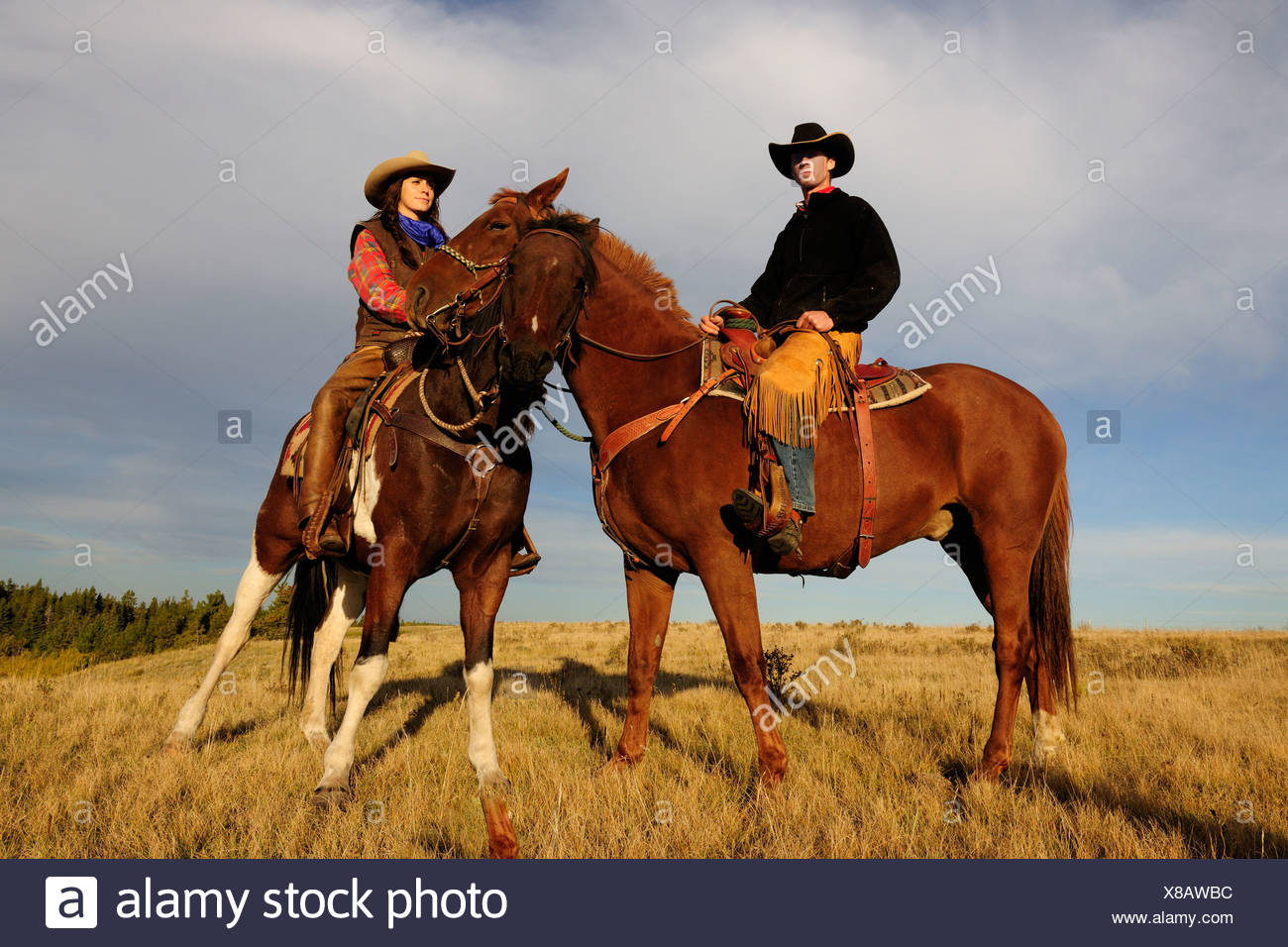 Cowgirl On A Horse Stock Photos & Cowgirl On A Horse Stock Images - Alamy