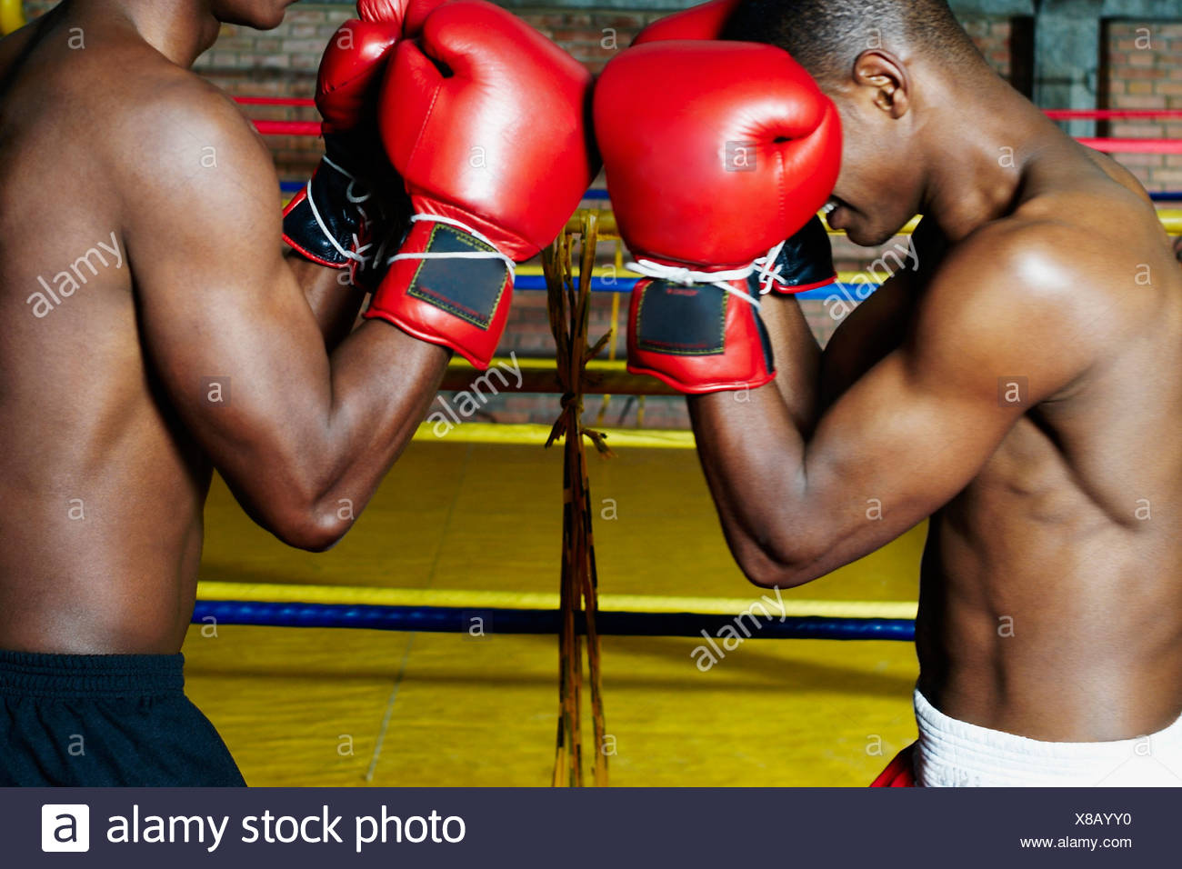 Men boxing Clearance