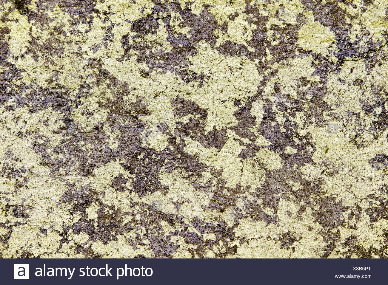 gold flake gold flake