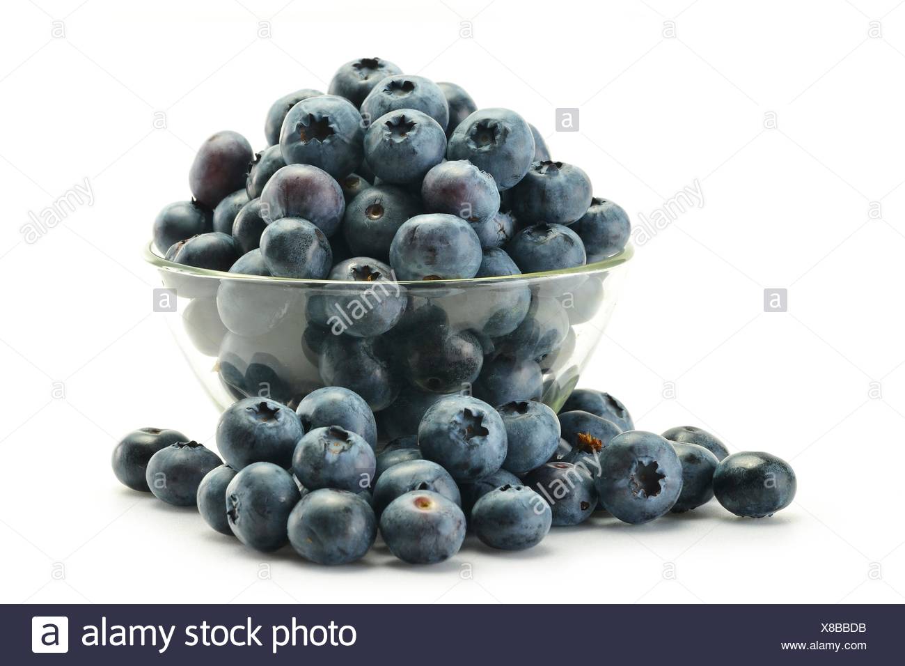 Dish with northern highbush blueberry Stock Photo: 280533607 - Alamy