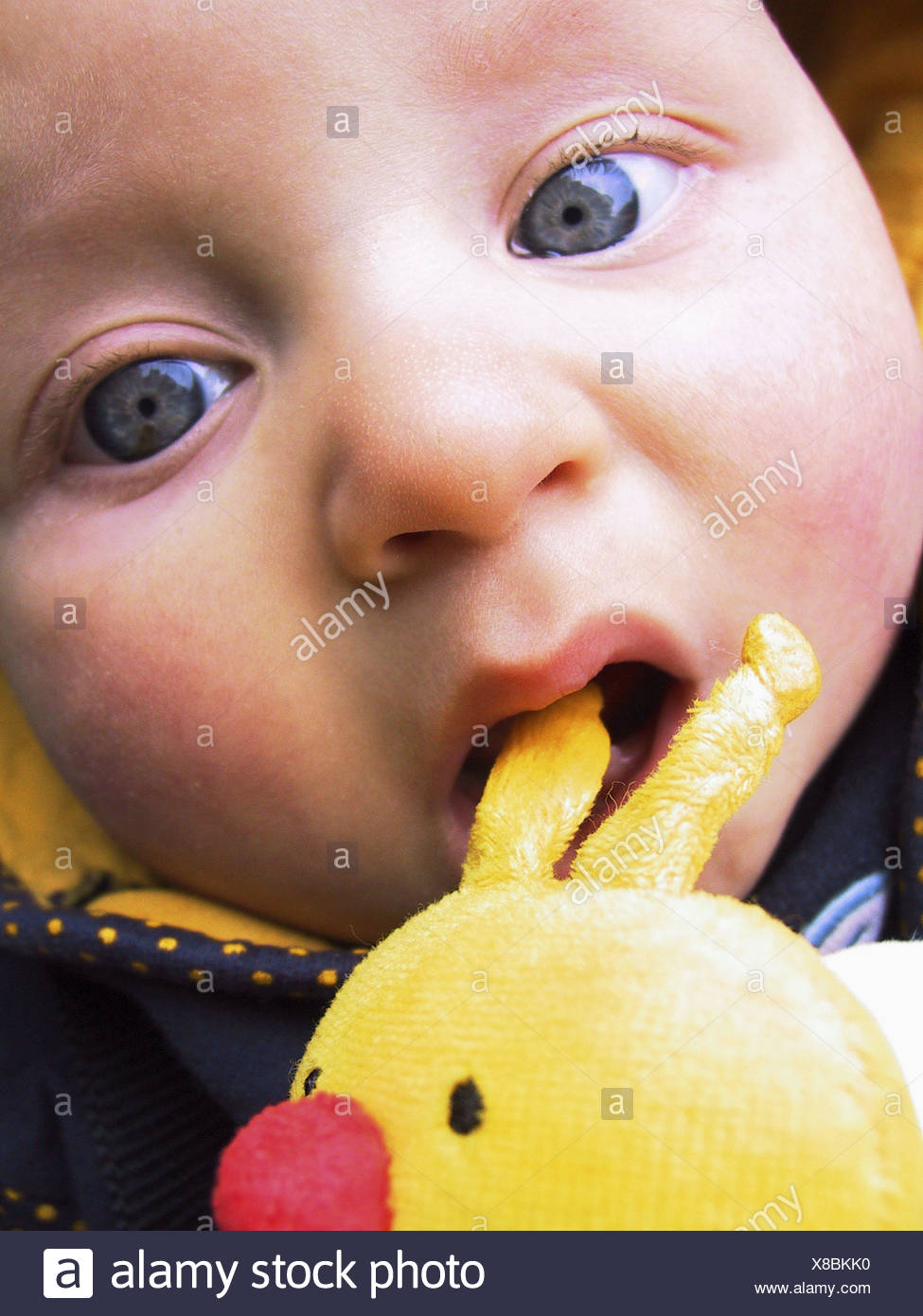 8 month old baby boy toys
