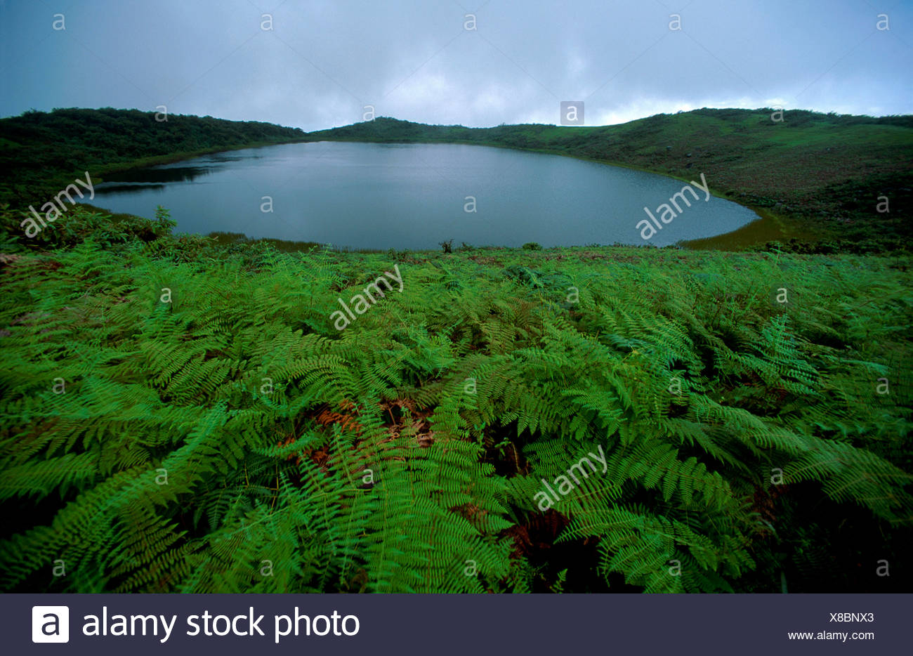 South America Ecuador Galapagos Islands Isles San Cristobal Chatham Scenery Laguna El Junco Crater Lake Lake Stock Photo Alamy