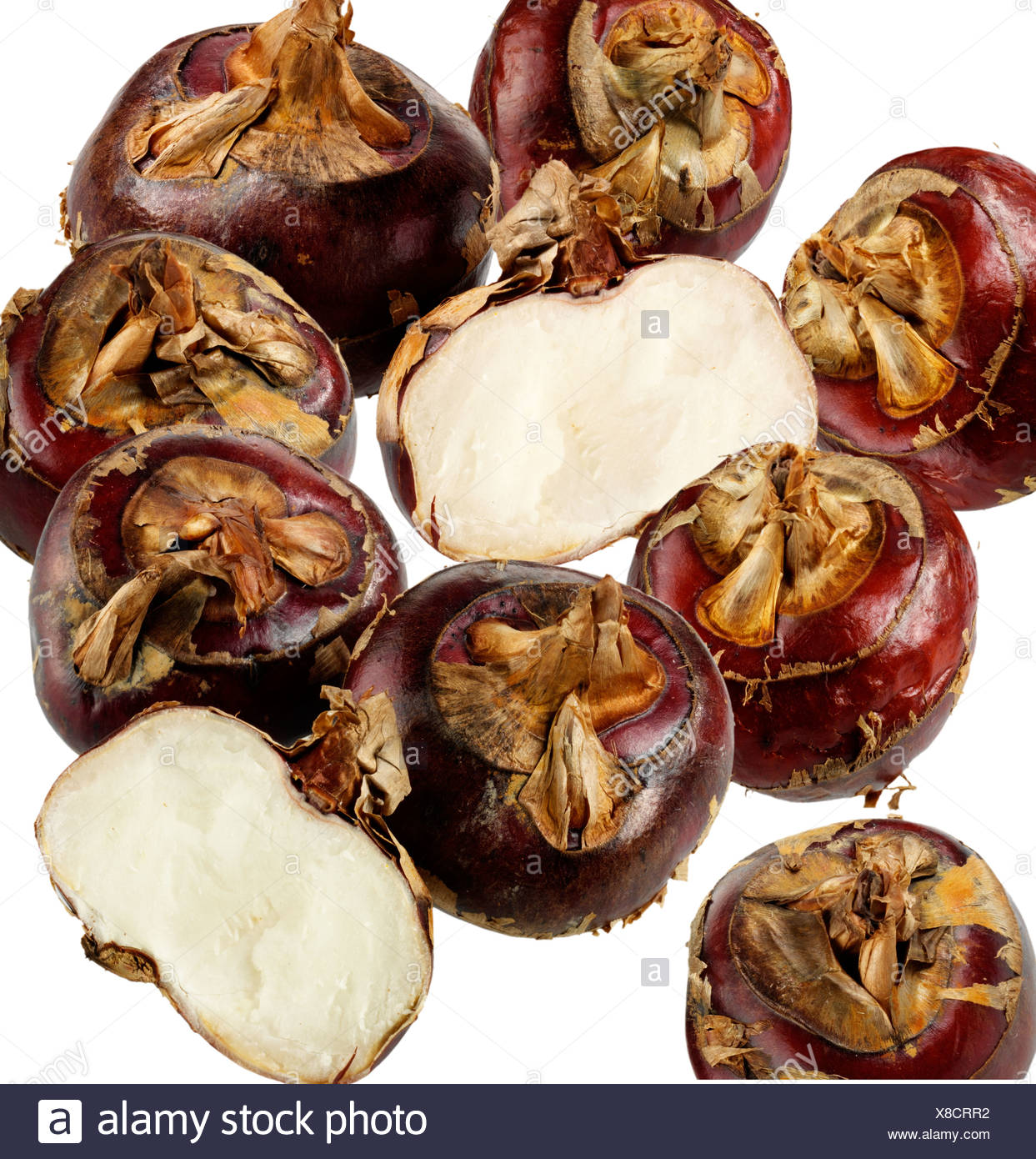 Water Chestnuts Stock Photos & Water Chestnuts Stock Images Alamy