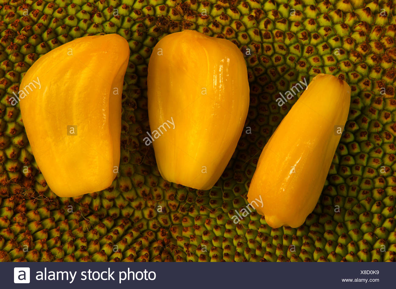 Green Jackfruit High Resolution Stock Photography and Images - Alamy