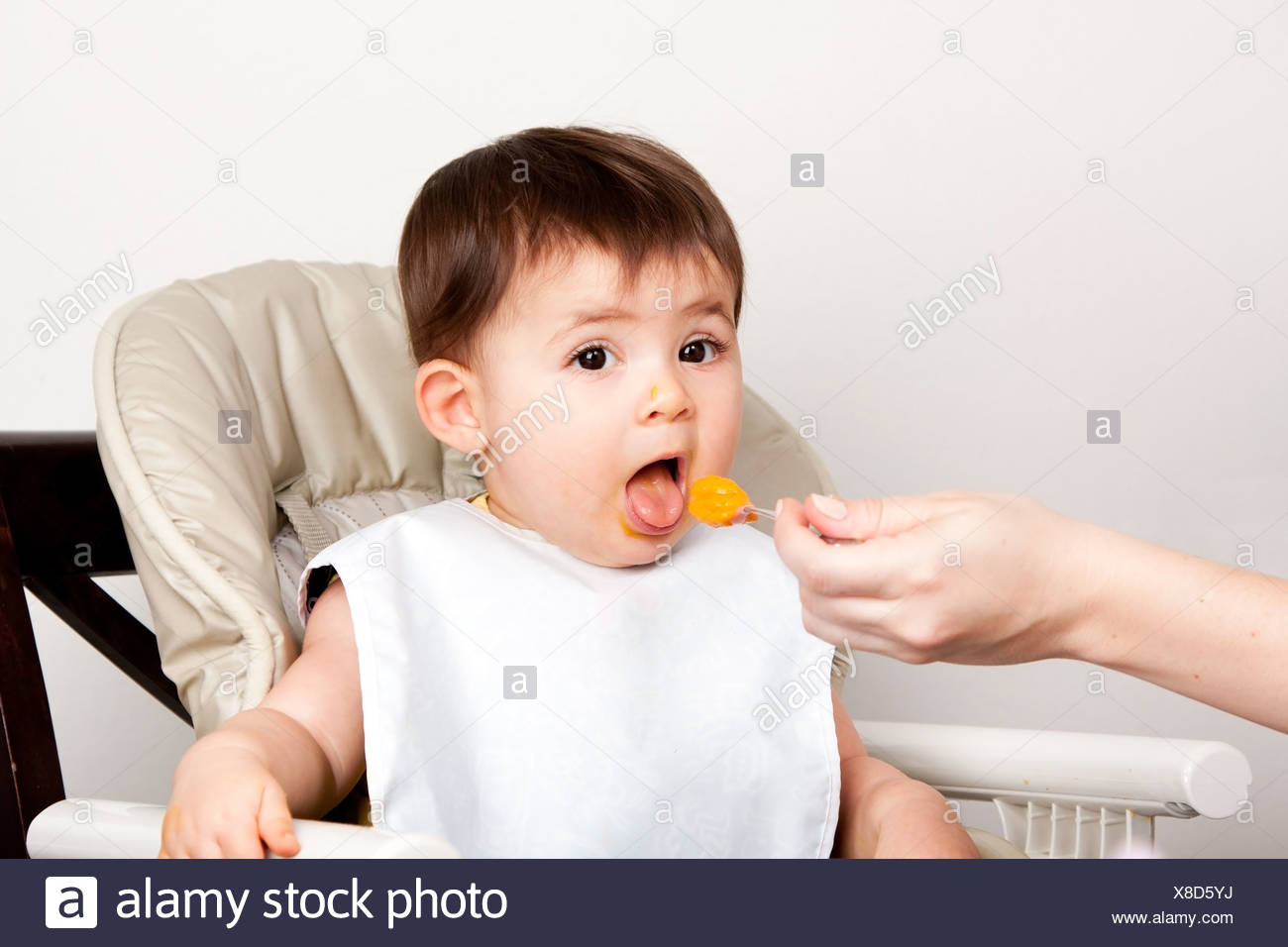 happy baby puree