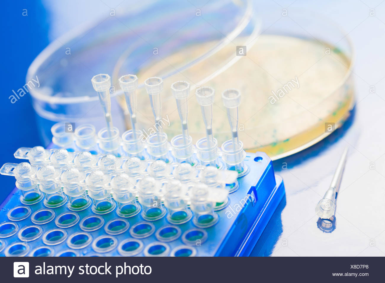 Mutagenesis High Resolution Stock Photography and Images - Alamy