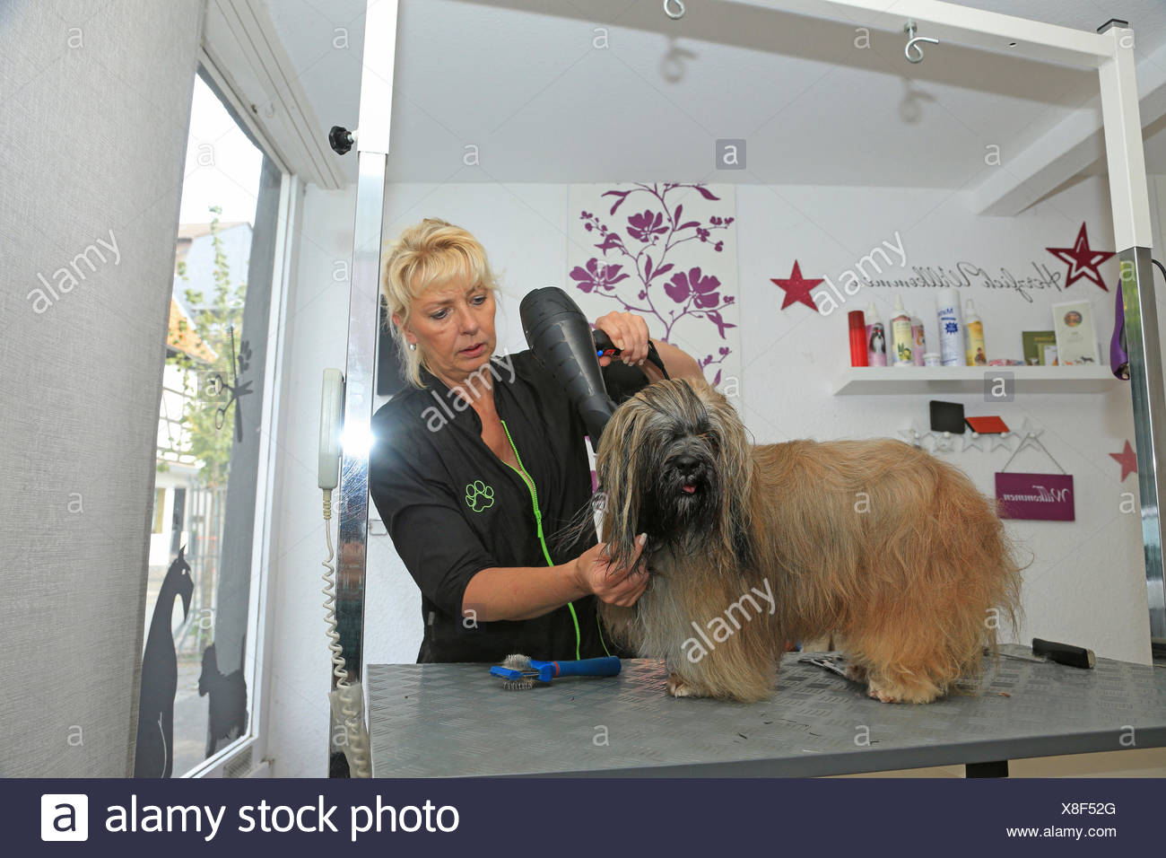 pet hand dryer