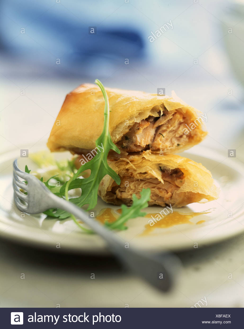 Salmon And Ginger Crunchy Rolls Stock Photo Alamy