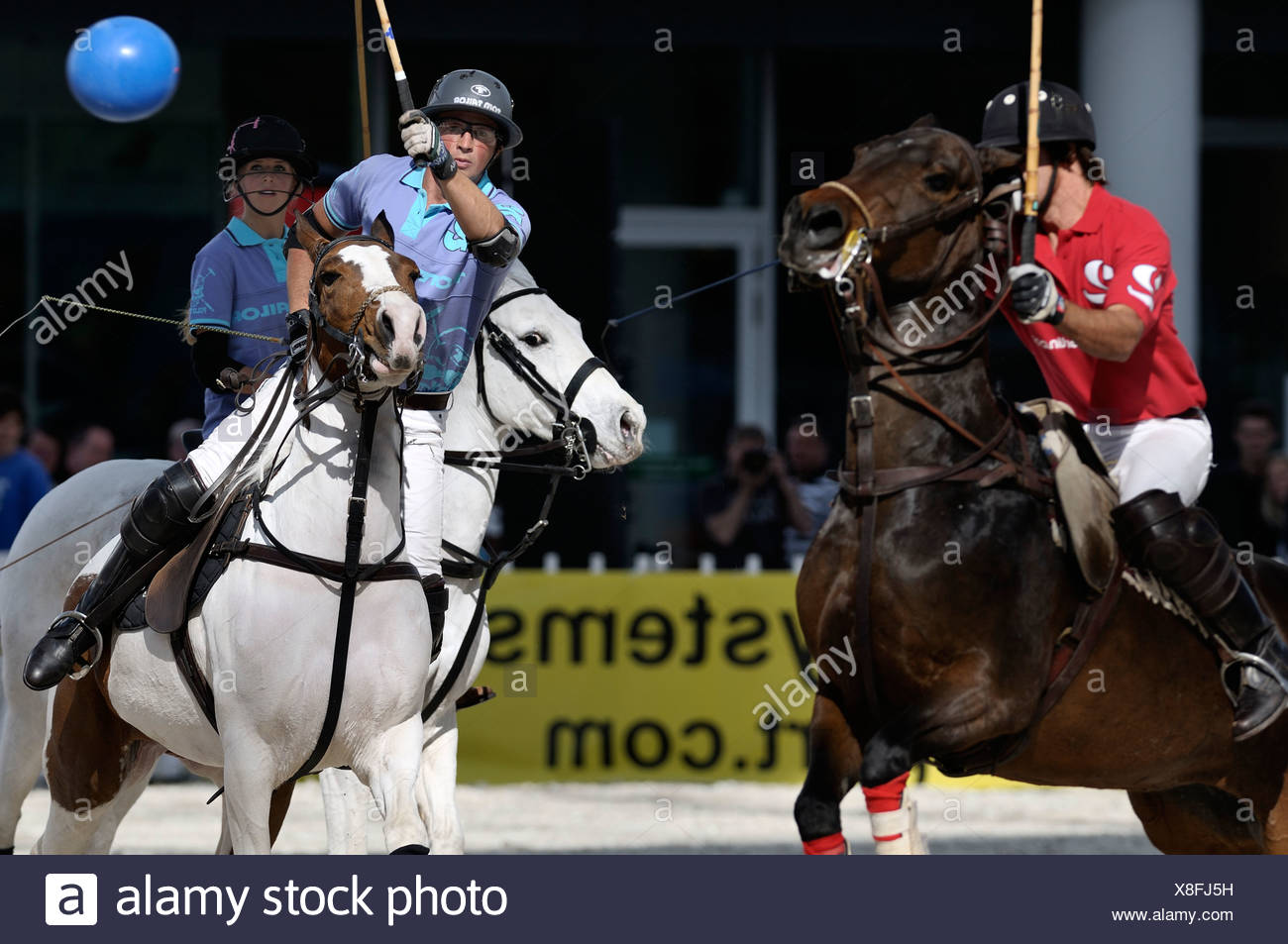 Tom Tailor Polo Team High Resolution Stock Photography and Images - Alamy