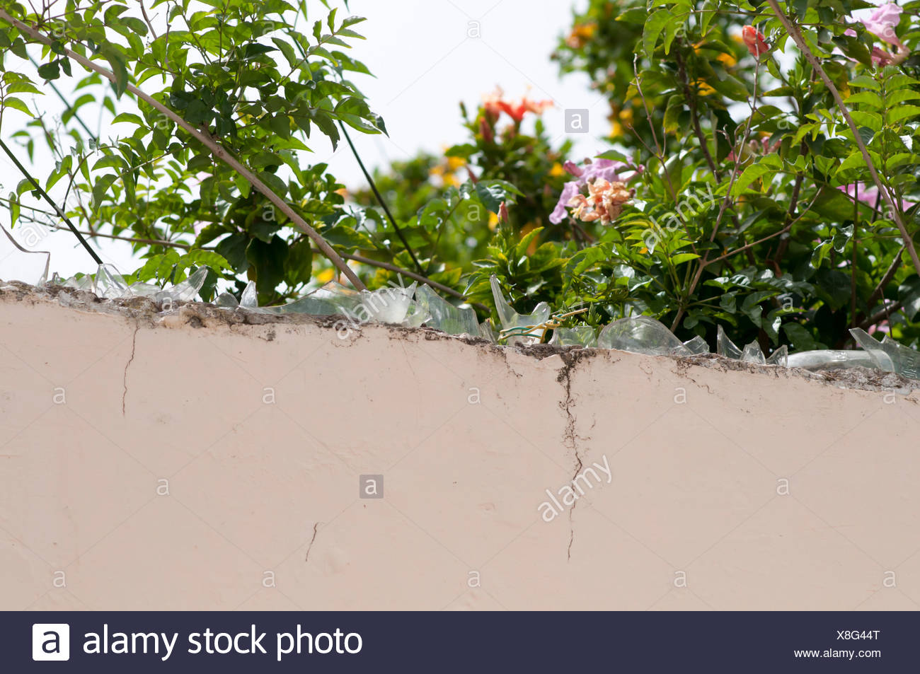 Broken Glass Wall Security High Resolution Stock Photography and Images