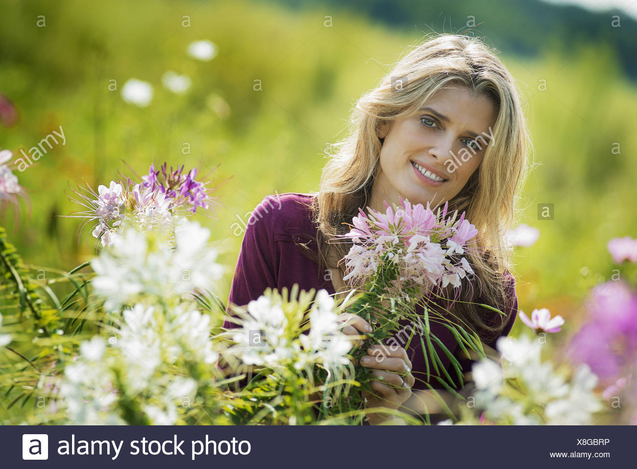 woodstock new york usa woman in garden of flowers on organic flower