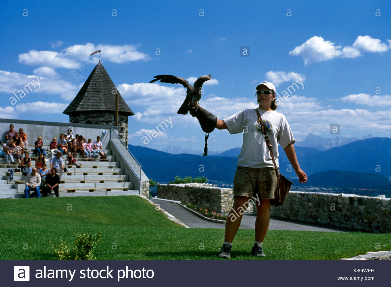 Birds of prey show, Burg Landskron Castle, Carinthia, Austria, Europe Stock Photo
