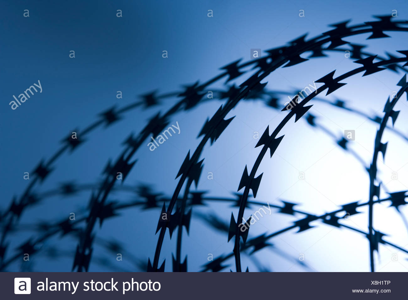 Barbed Wire Fence Stock Photos & Barbed Wire Fence Stock Images - Alamy