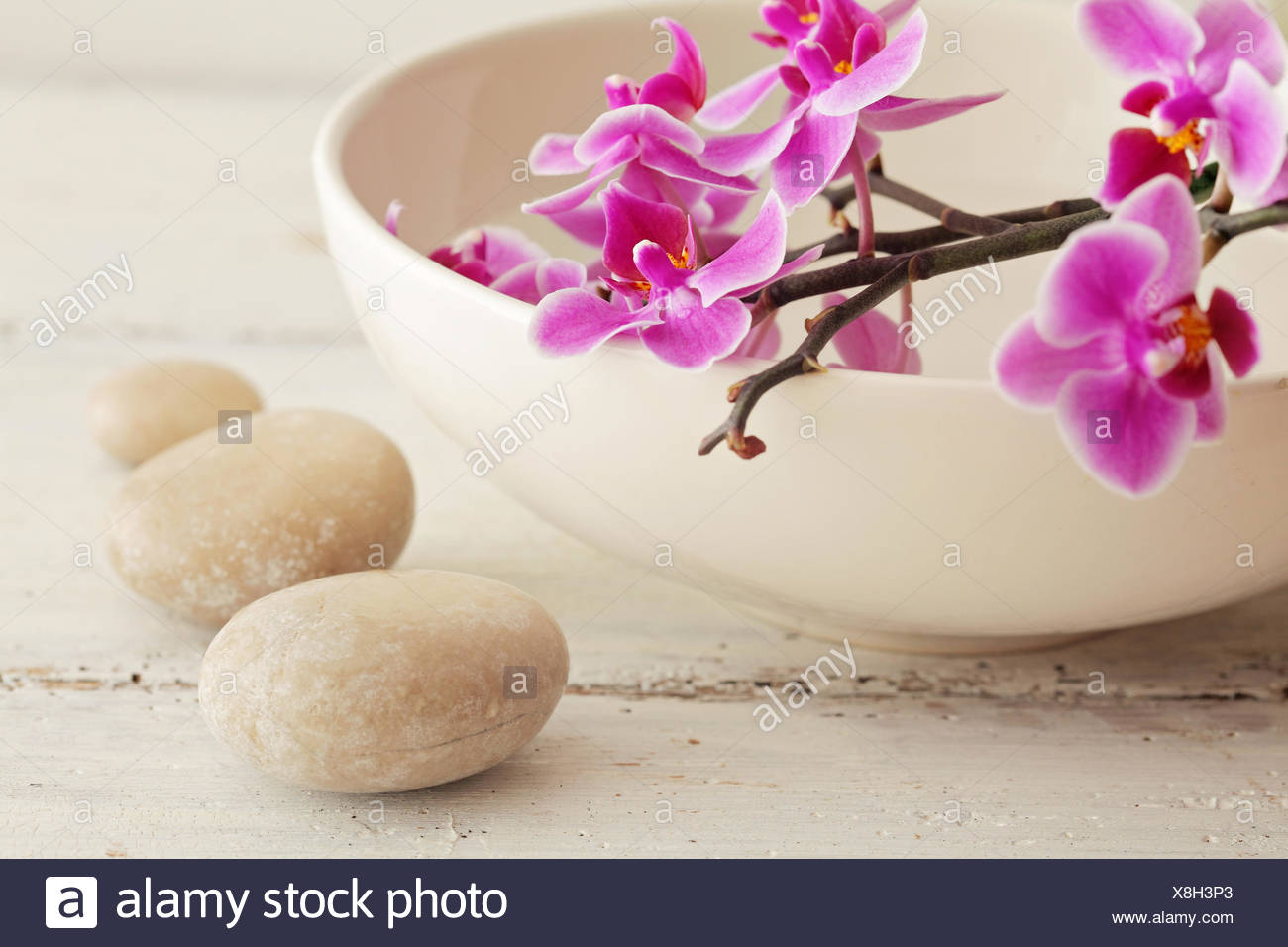 Relax Zen Relax Zen
