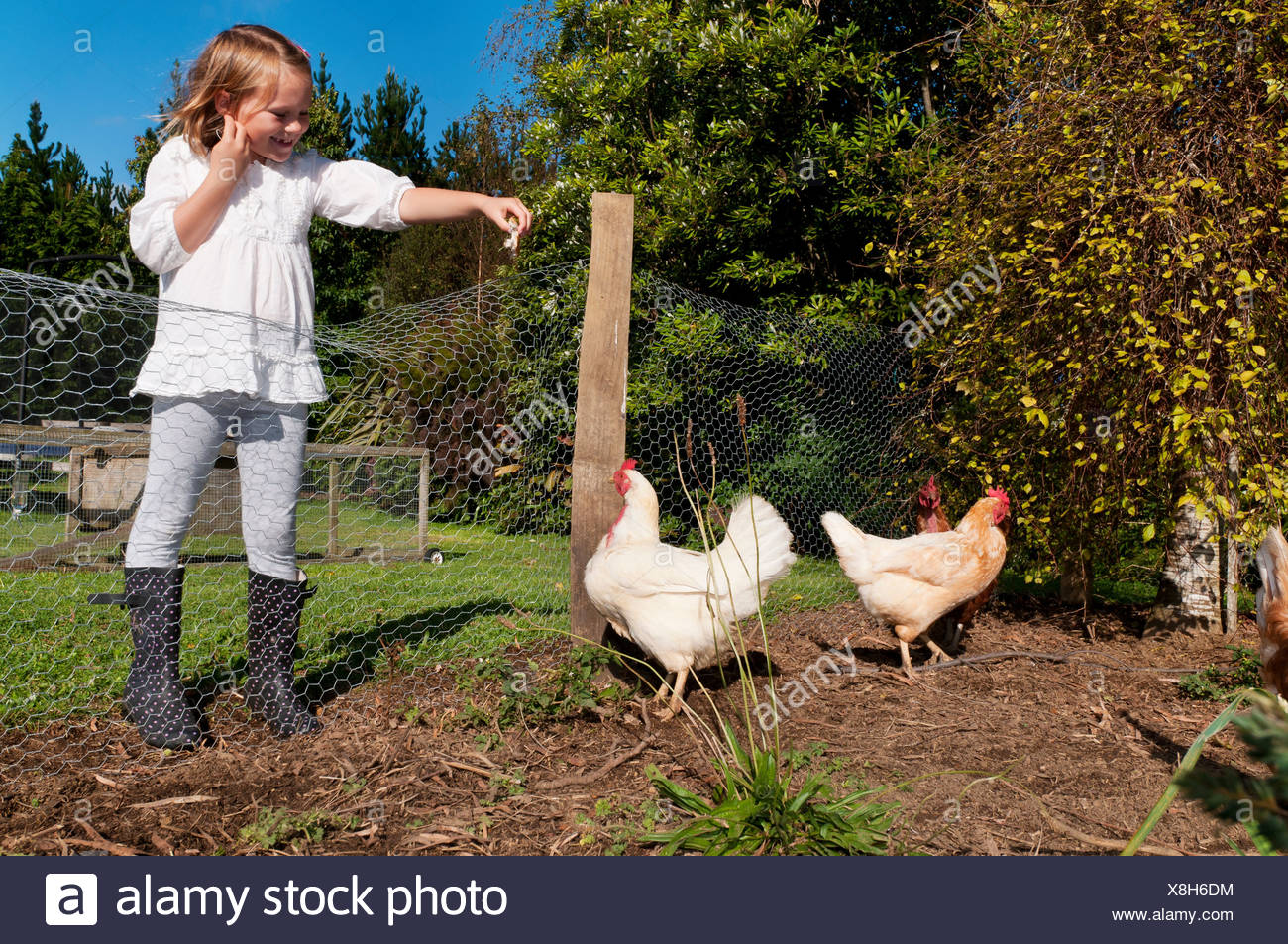 Children With Chickens High Resolution Stock Photography and Images Alamy