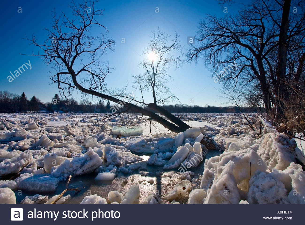 Ice Jam On The Red River Winnipeg Manitoba Canada Stock Photo Alamy