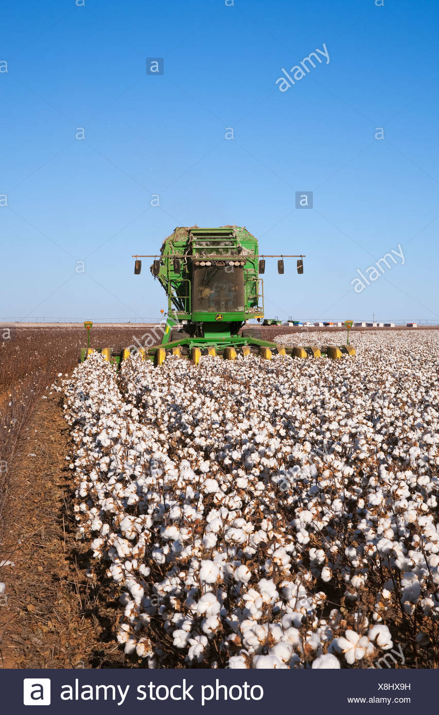 Harvested Crop Field High Resolution Stock Photography and Images - Alamy