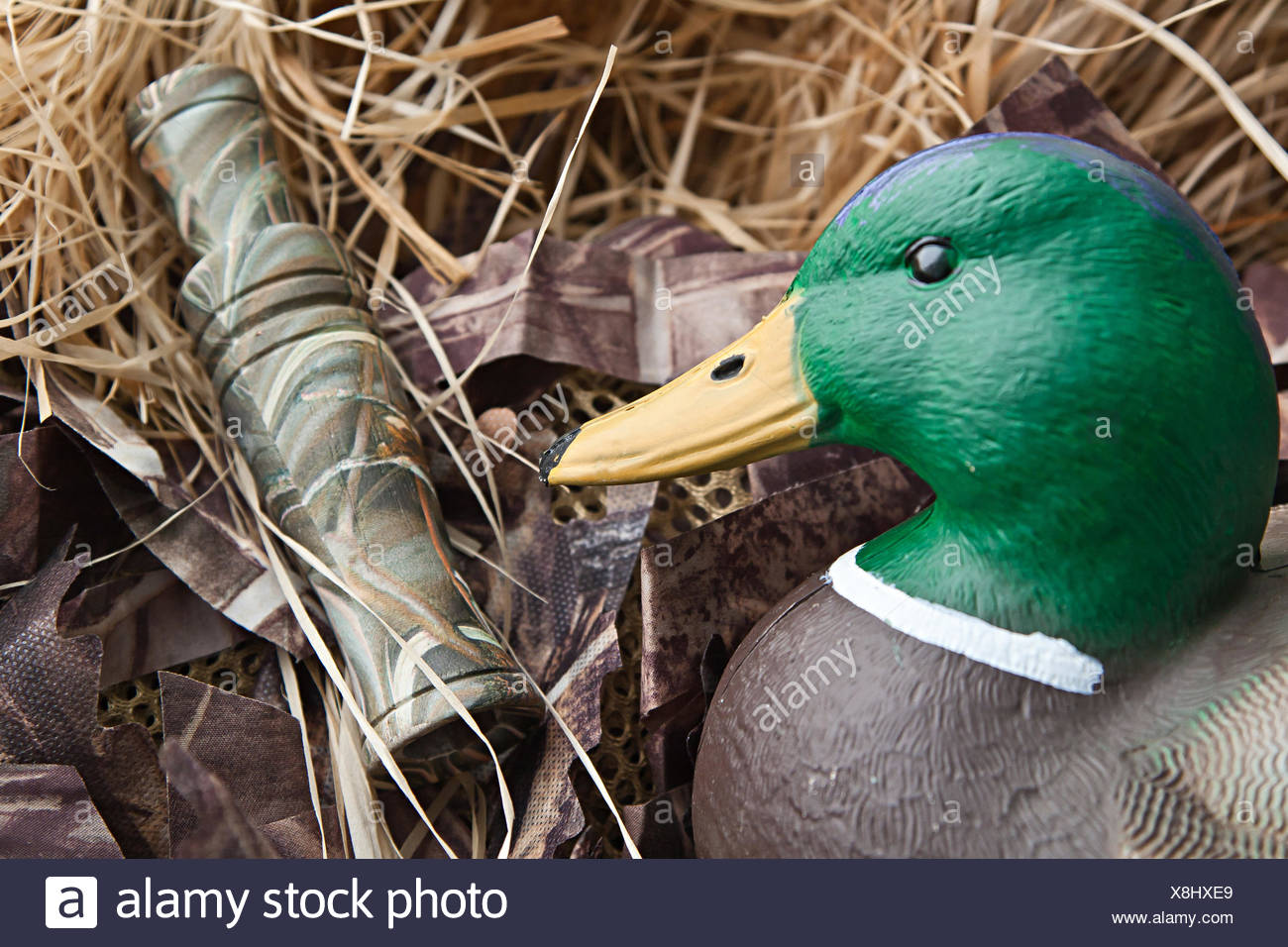 stuffed wood duck