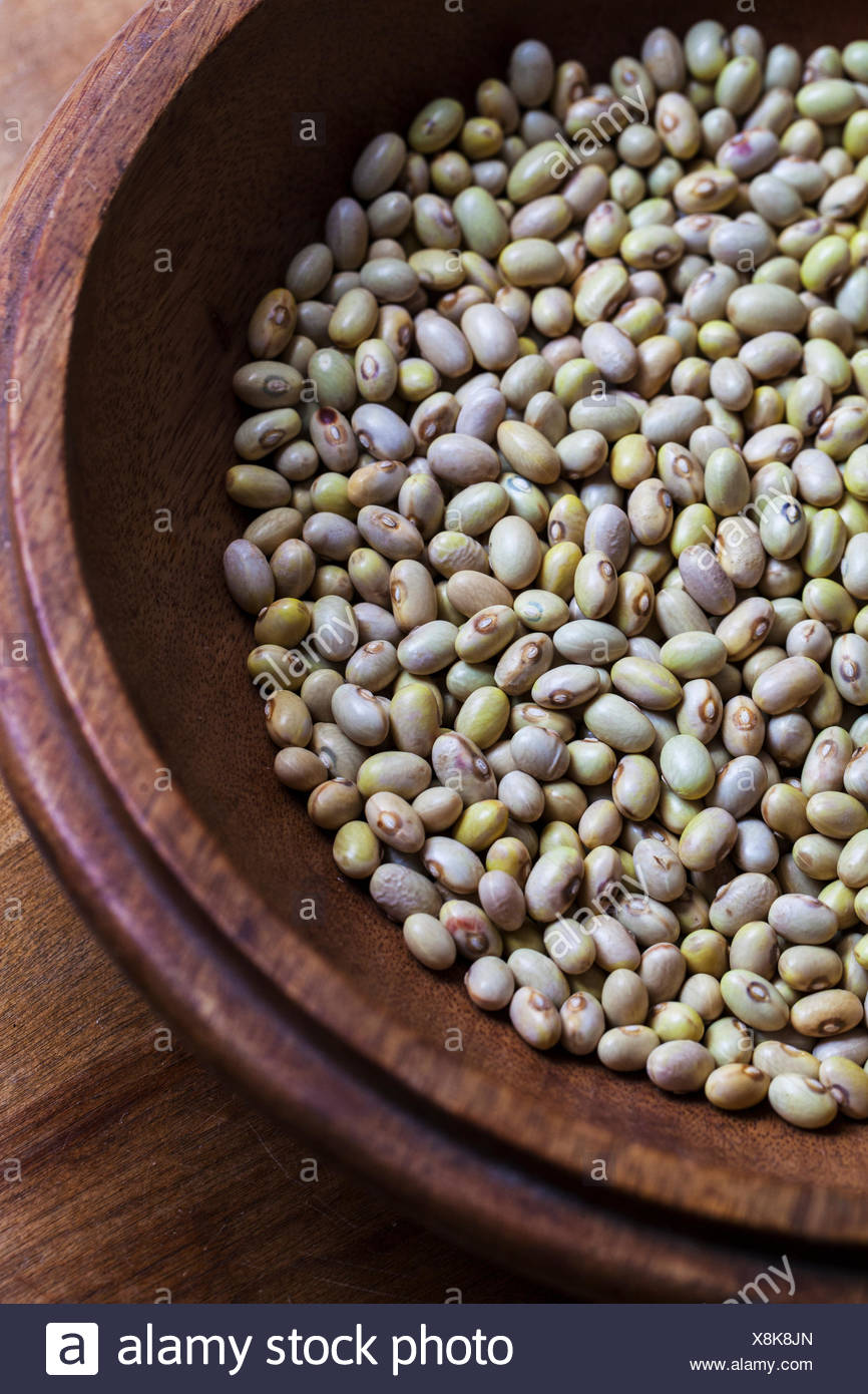 Heirloom Hutterite Soup Bean High Resolution Stock Photography and
