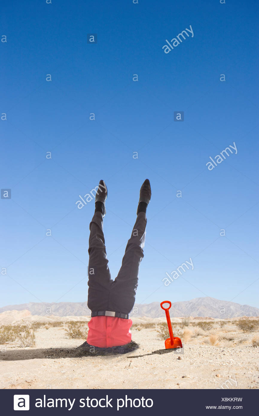 Bury Your Head In The Sand Stock Photos & Bury Your Head In The Sand