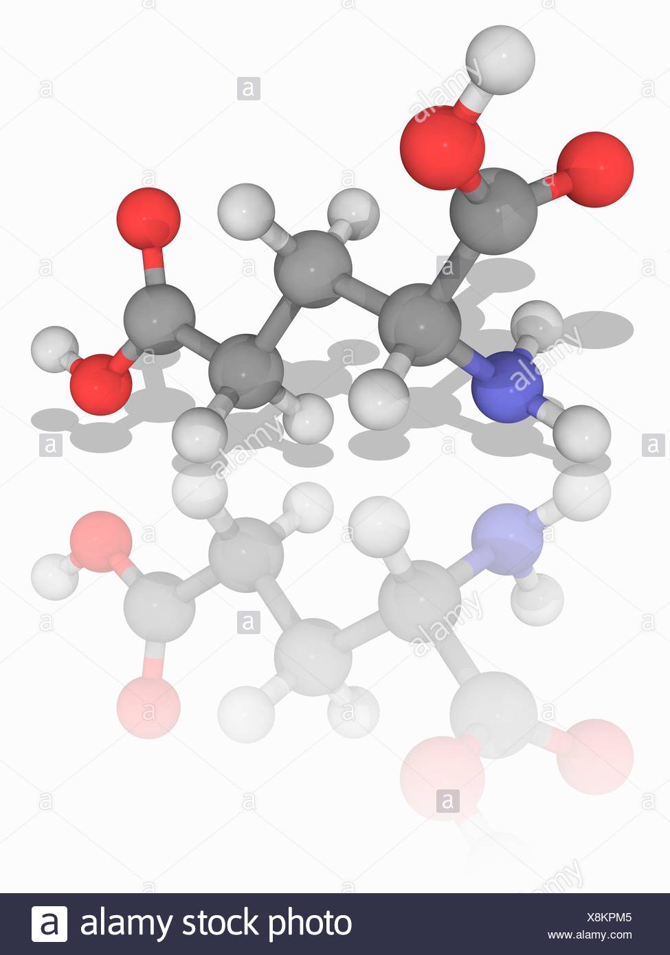 Glutamic Acid Molecular Model Of The Non Essential Amino Acid Glutamic Acid C5 H9 N O4 This Dicarboxylic Acid Is One Of The Amino Acids That Is A Precursor To Proteins It Is Also An Important
