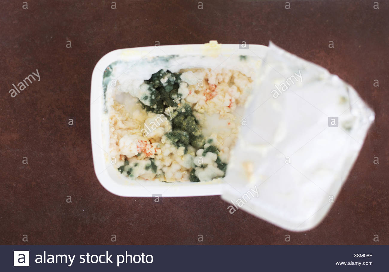 Close Up On Rotten Butter Or Cottage Cheese Stock Photo 280722415