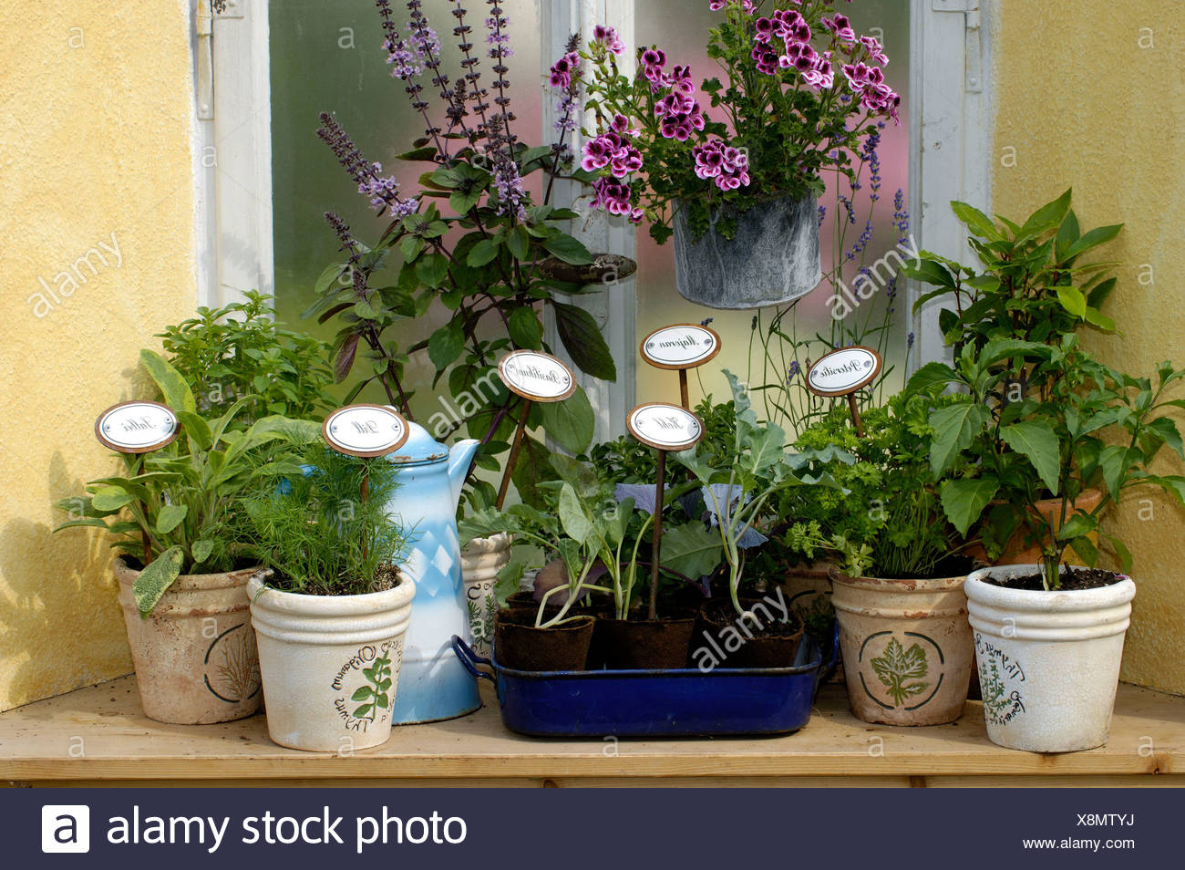 Herbs On Windowsill Stock Photo 280741766 Alamy