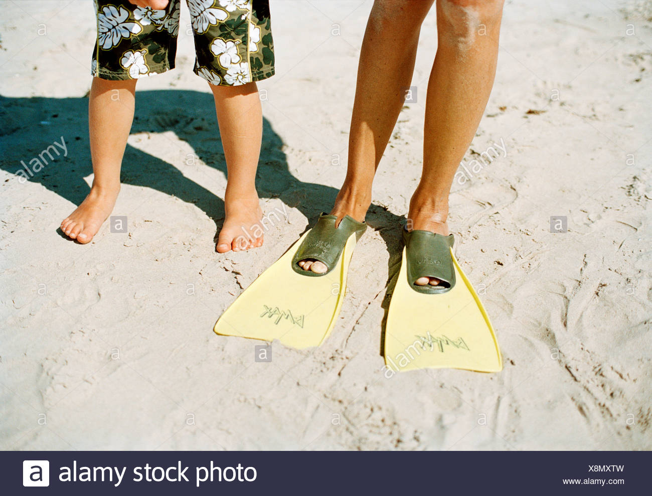 Diving Flipper Stock Photos & Diving Flipper Stock Images Alamy