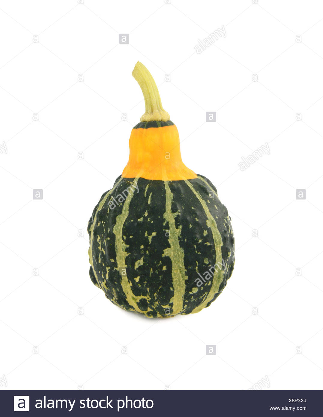 Bumpy Squash Stock Photos & Bumpy Squash Stock Images Alamy