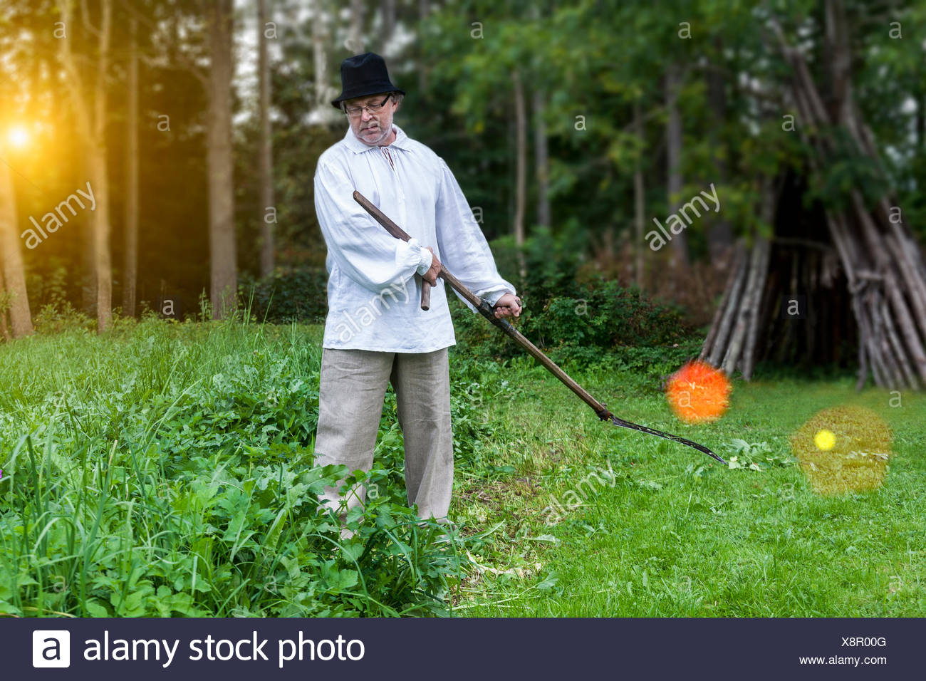 Farmer Cutting Grass With A Scythe High Resolution Stock Photography