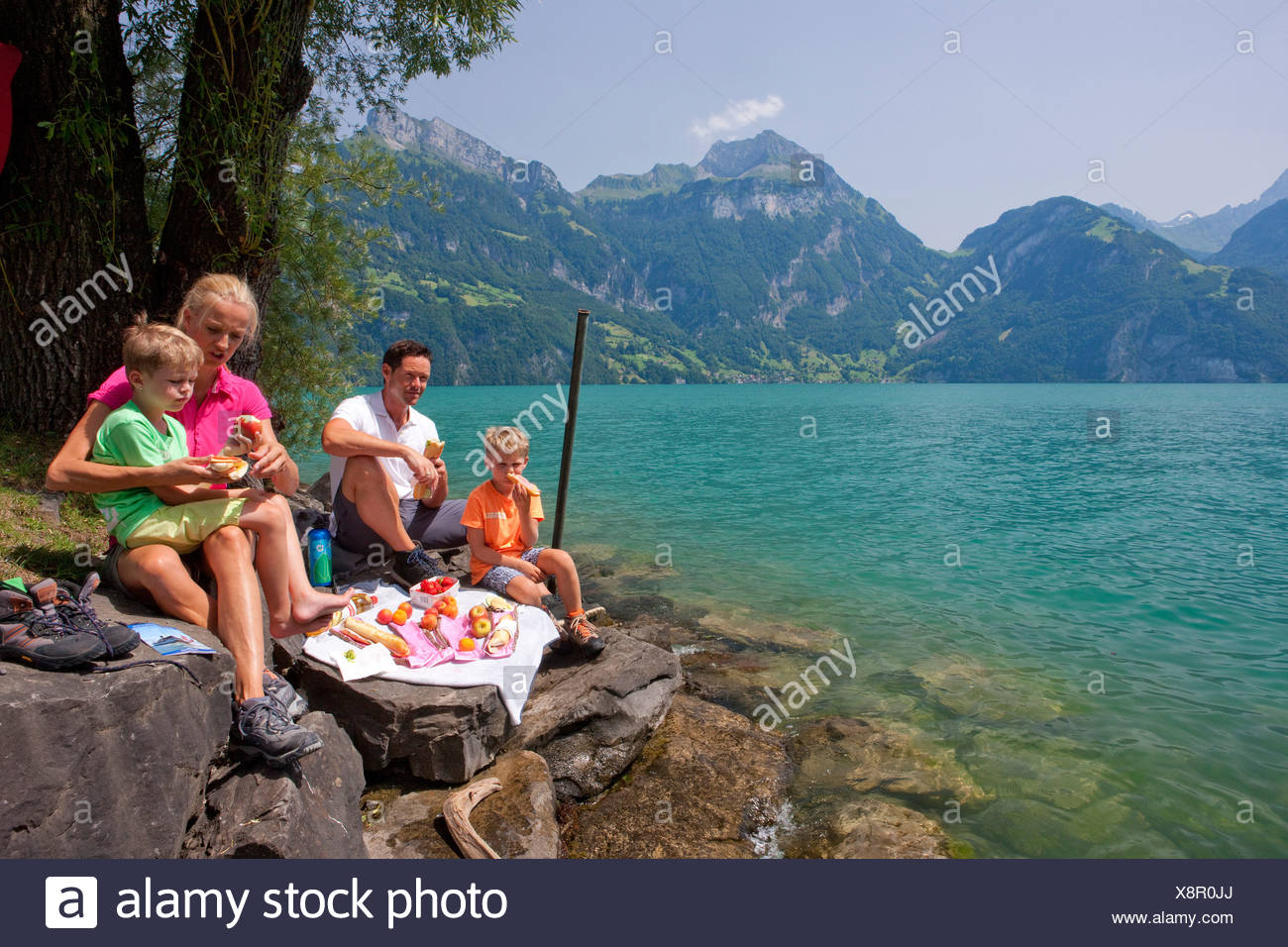 Switzerland Europe lake Lucerne central Switzerland canton UR Uri ...