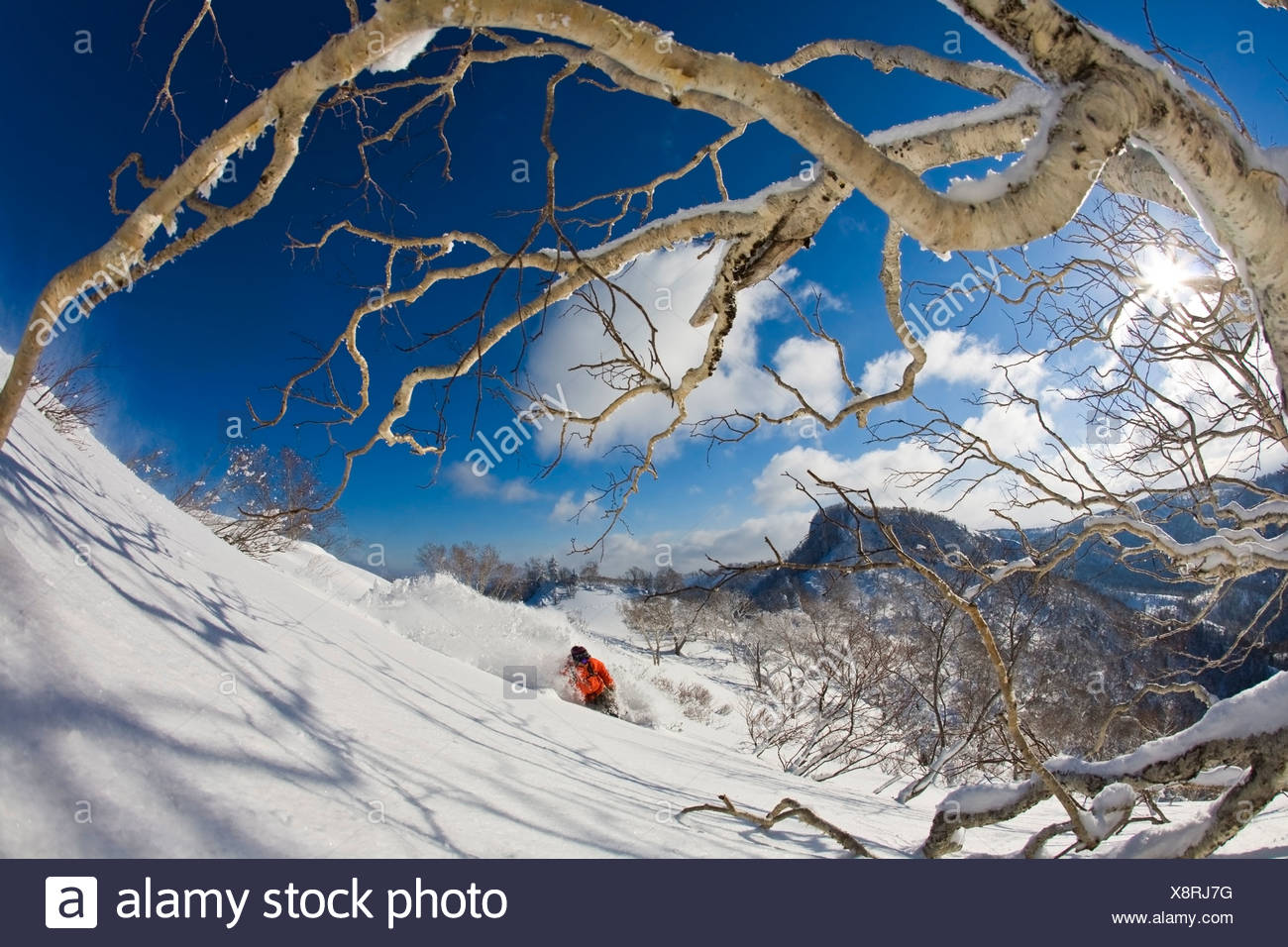 teine high resolution stock photography and images alamy