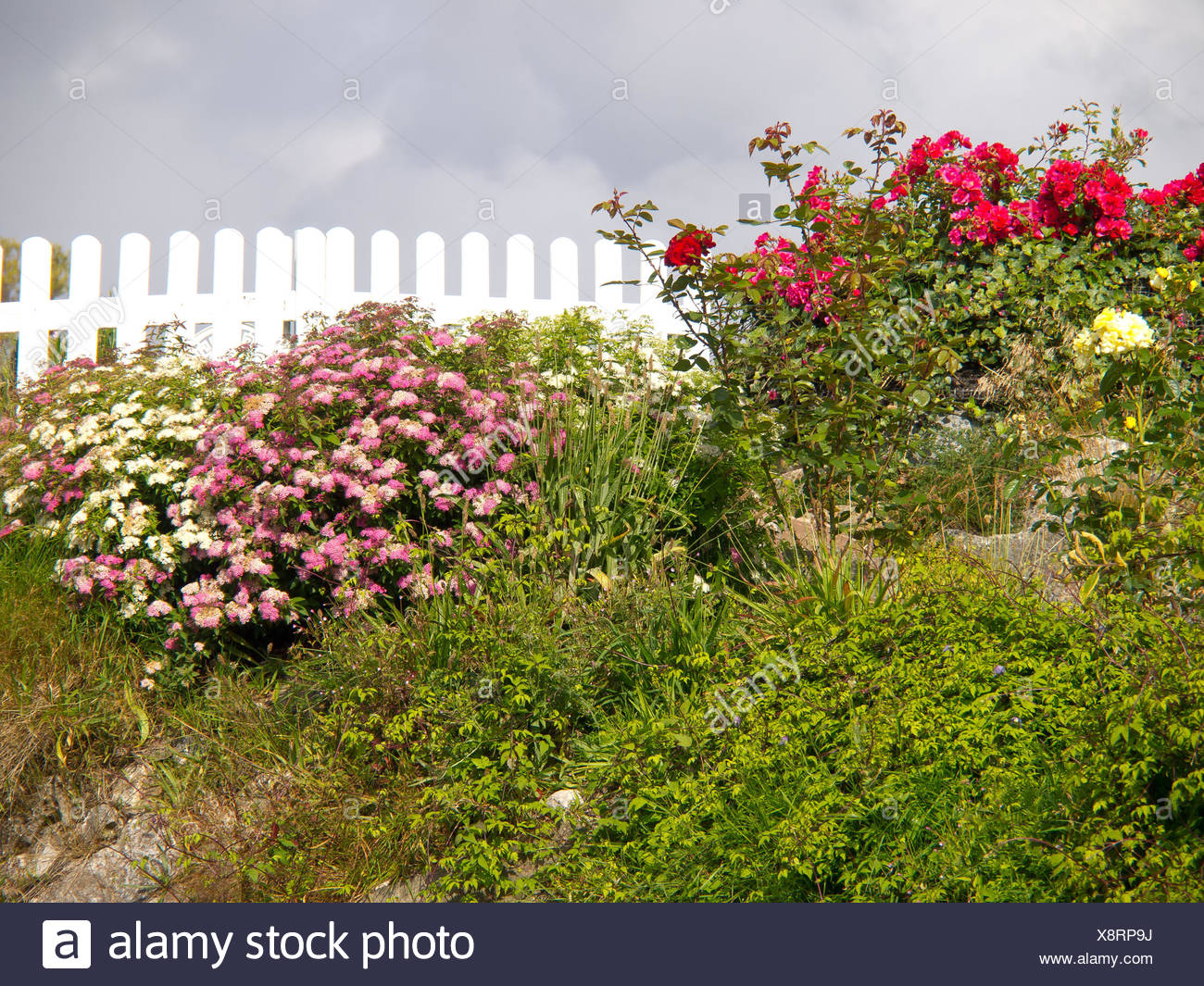 Garden Norway Fence Fence In Fencing Gardens Wooden Fence Nature Stock Photo Alamy