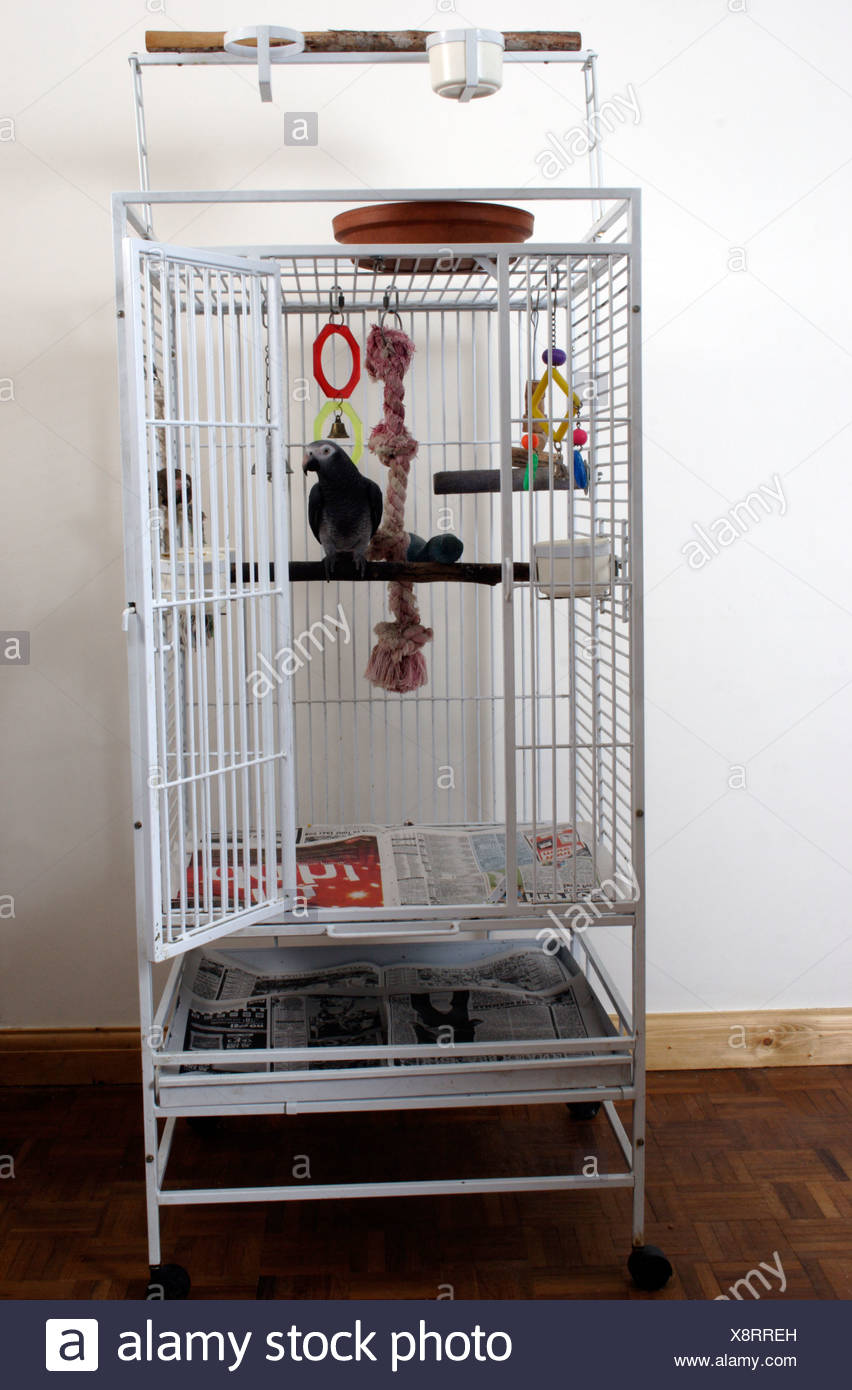 tall parrot cage