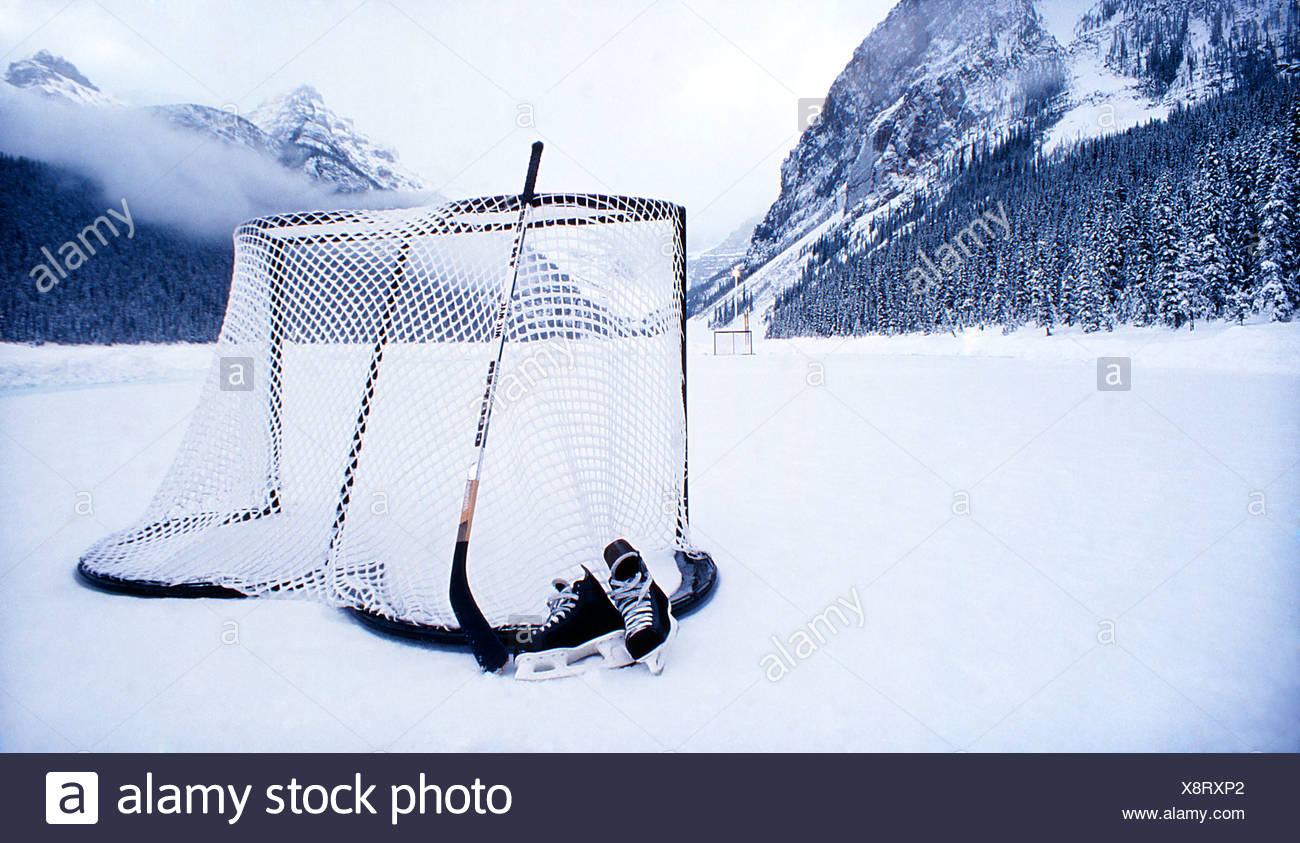 hockey stick and net