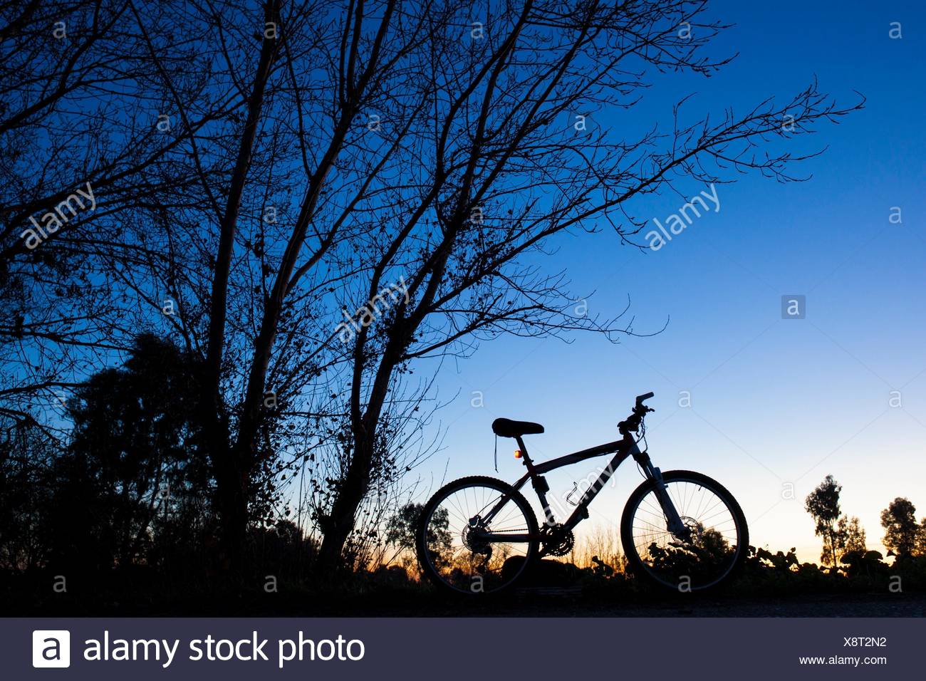 bluesky cycle