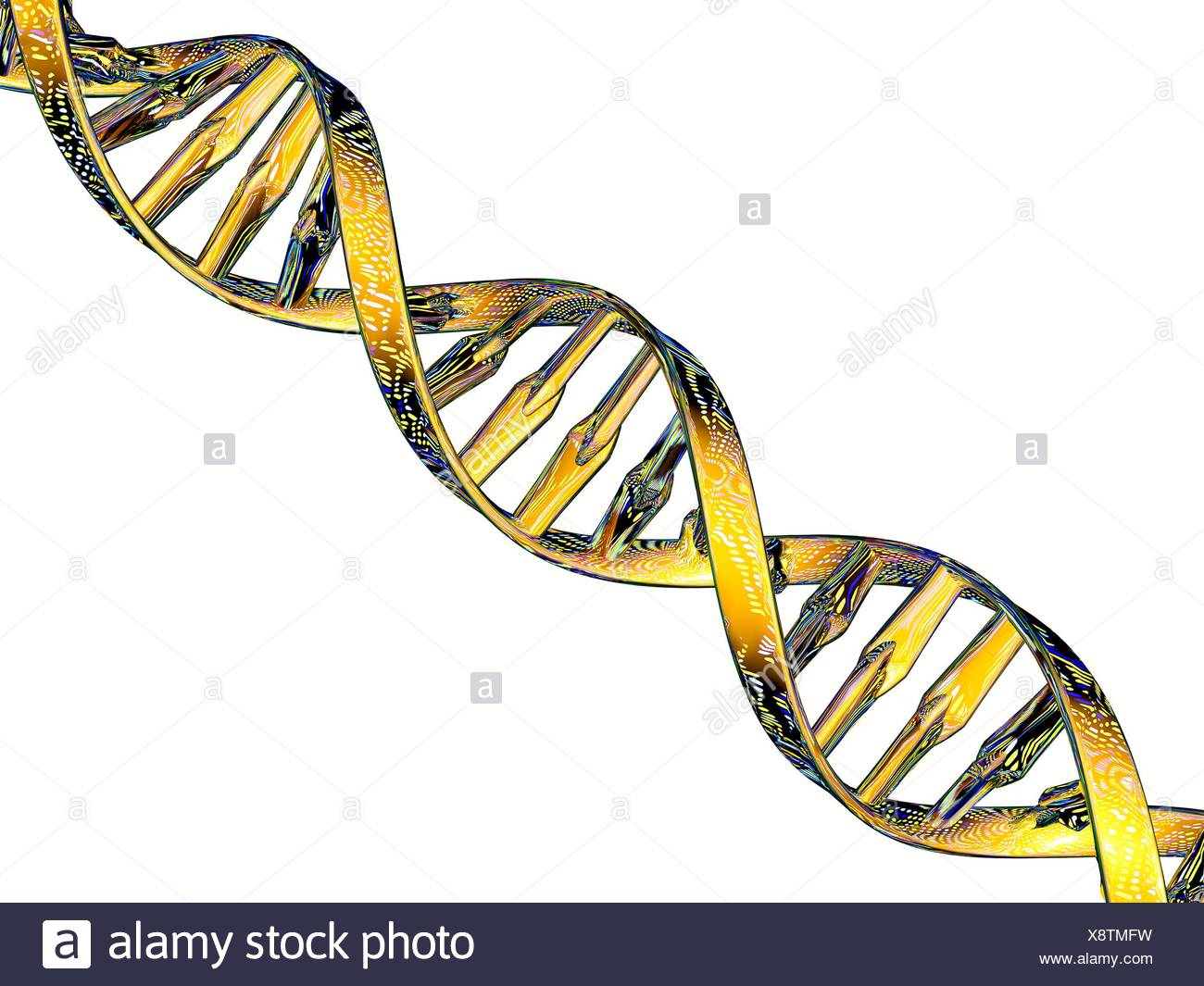 alamy