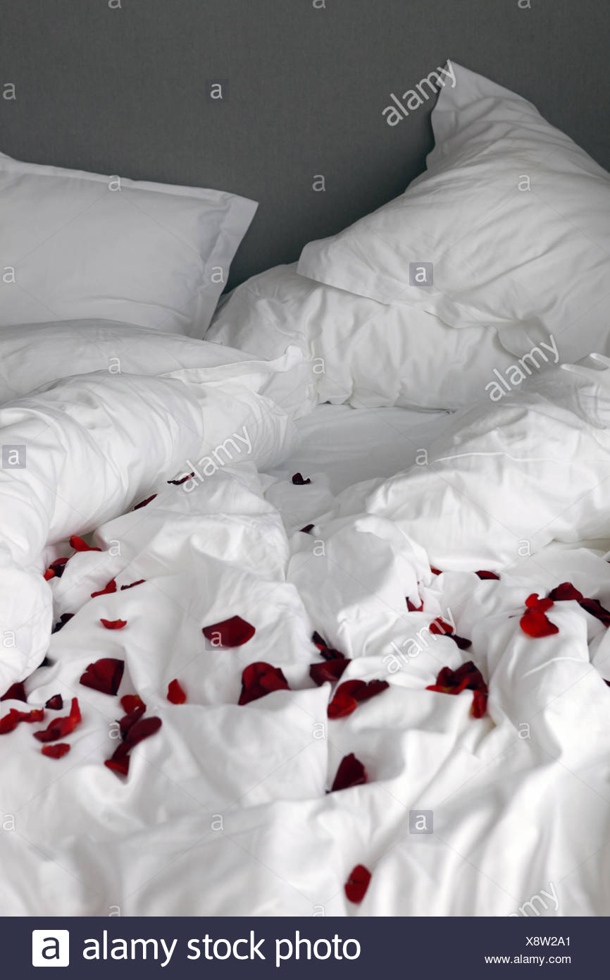 Bed With Rose Petals Stock Photo Alamy