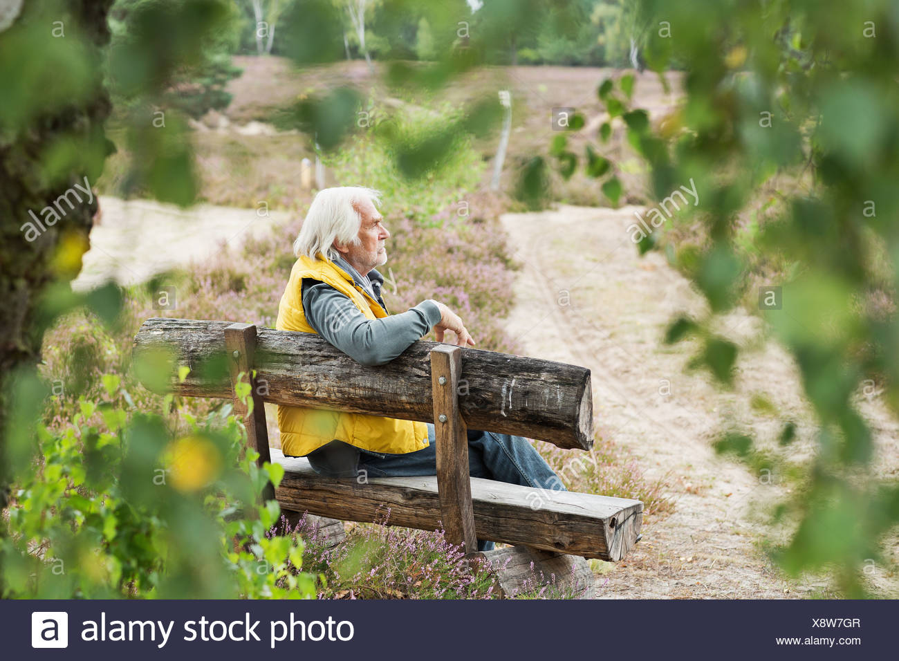 Old Man Sitting On Bench Stock Photos & Old Man Sitting On Bench Stock ...