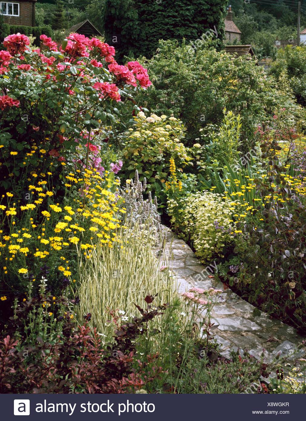 Hydrangea Border Stock Photos & Hydrangea Border Stock Images Alamy