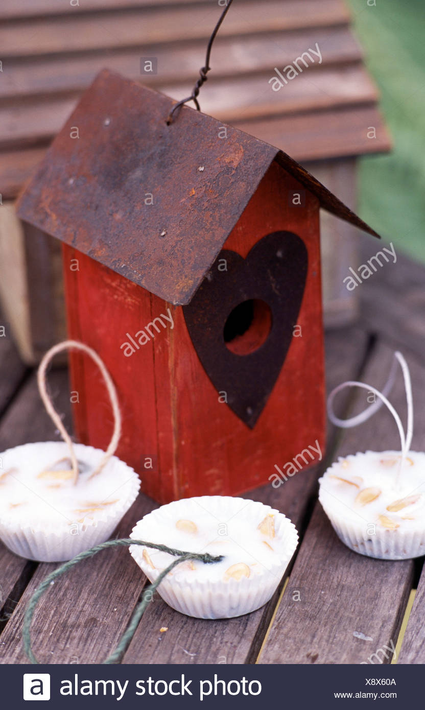 Lard And Pumpkin Seed Cakesbirds Next To A Red Bird House Sowing