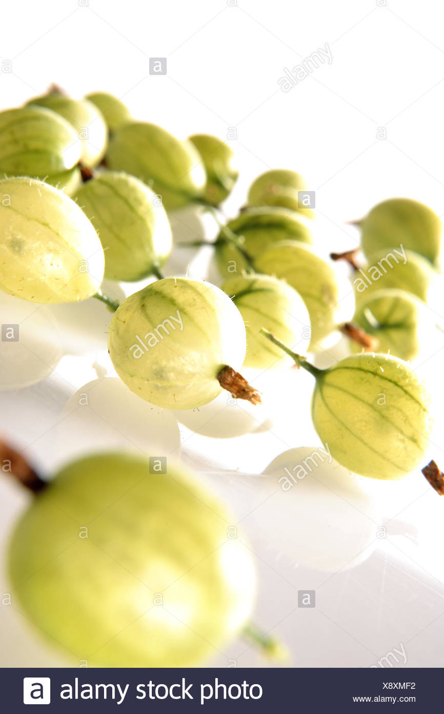 Beeren Fruechte Gooseberry Nahaufnahme Obst Pflanze Ribes