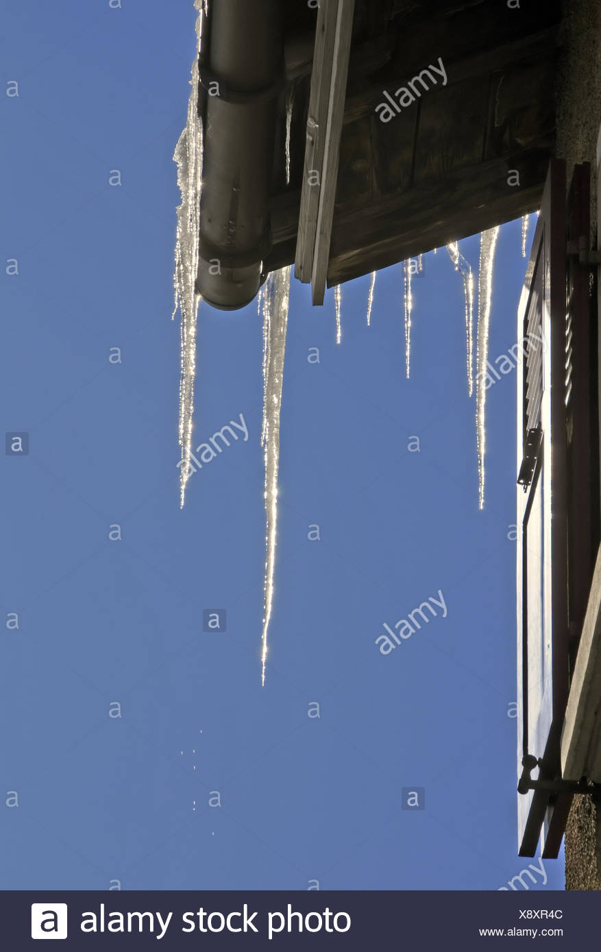 Winter Cold Ice Frozen Ice Age Icicle Icicles Frosty Blue Shine Shines Bright Stock Photo Alamy Winter Cold Ice Frozen Ice Age Icicle Icicles Frosty Blue Shine Shines Bright Stock Photo Alamy
