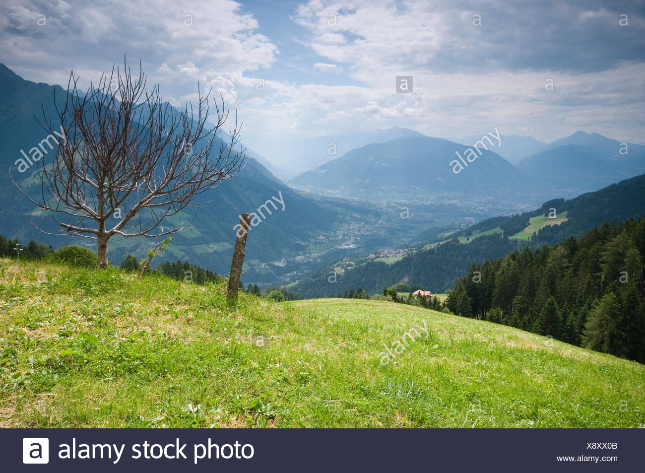 Landschafts Ansicht Von Einer Almwiese Mit Stauch Und Zaunpfahl Uber Das Meraner Tal Im Sommer Ber Bewolkten Himmel Die Gipfel Der Texelgruppe Im Hintergrund Stock Photo Alamy