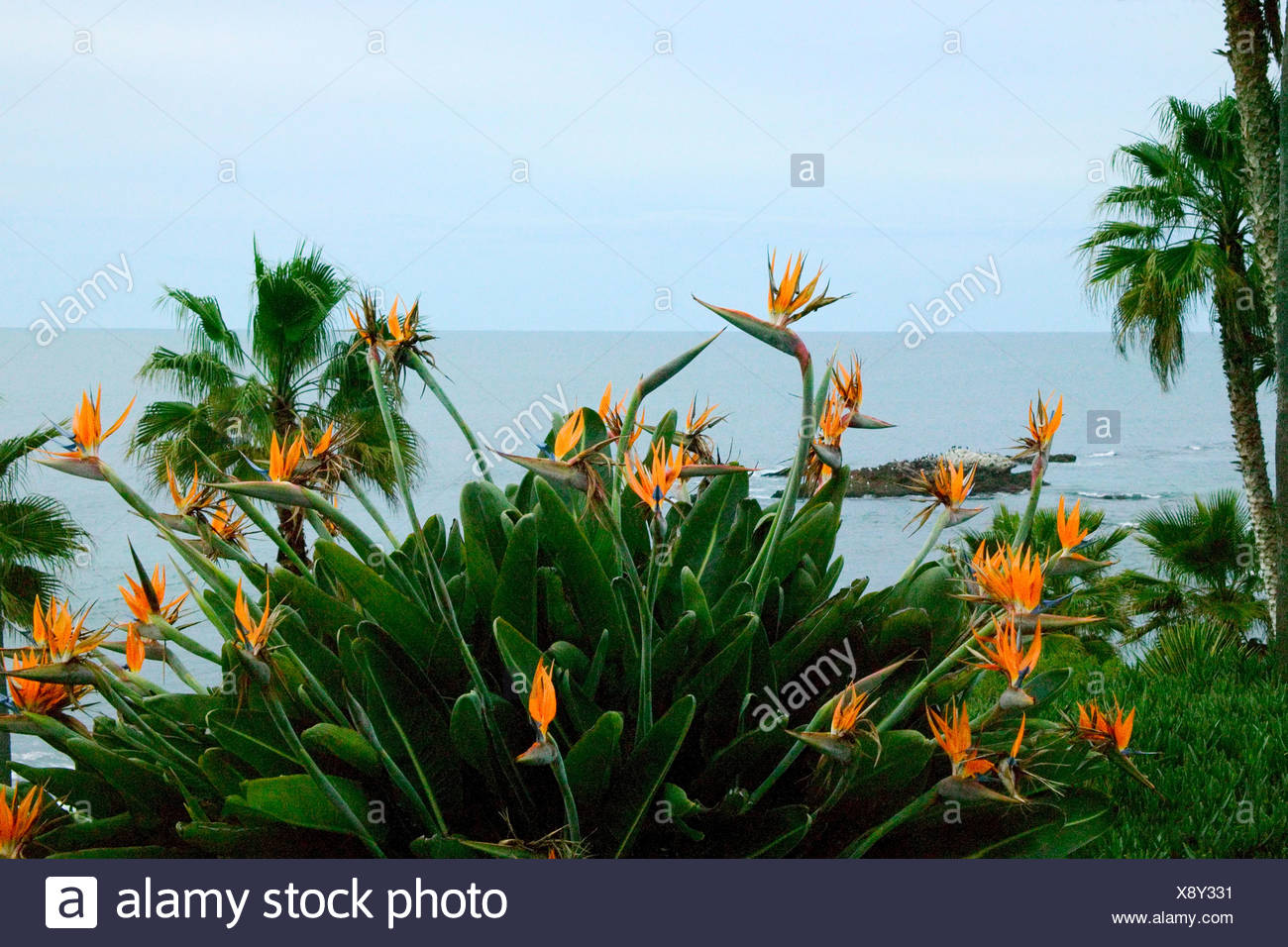 Paradise Taken