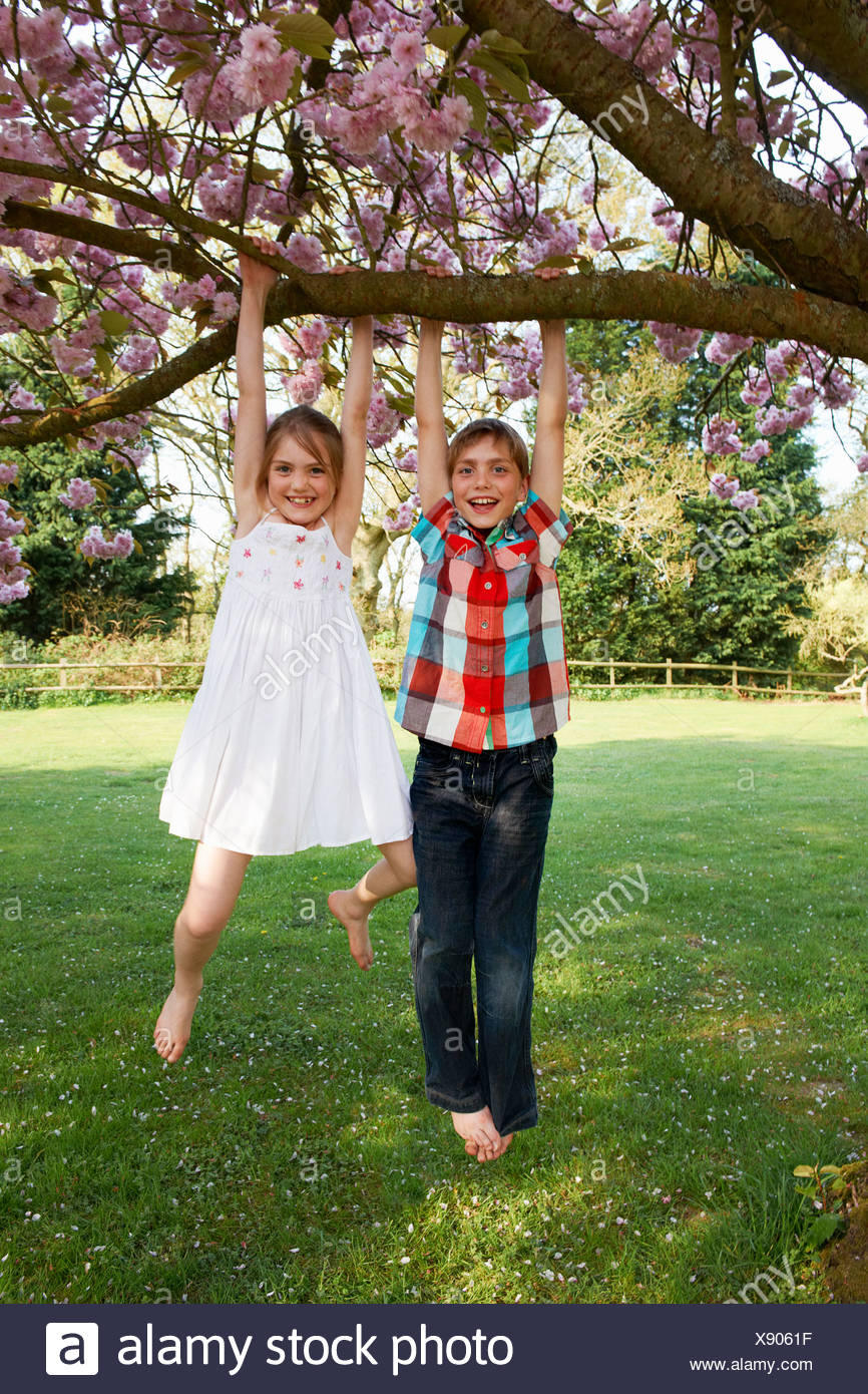 Children Swinging From Tree In Backyard Stock Photo 280902539 Alamy